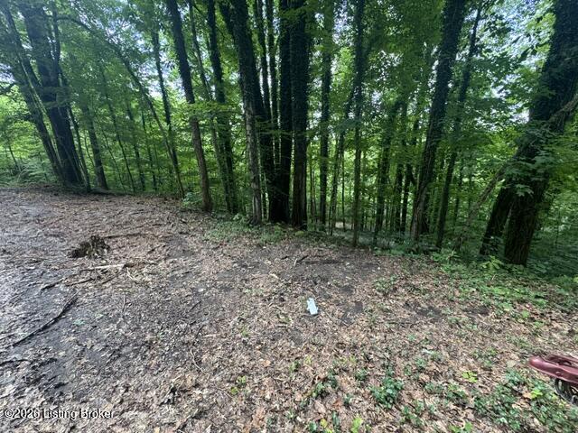0 Plane Tree Ln Property Photo 2