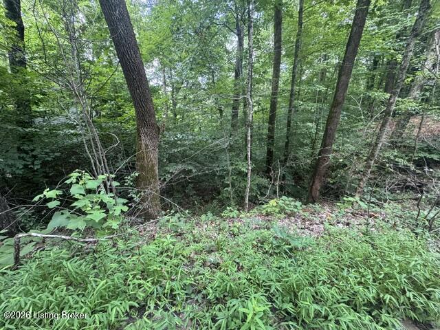 0 Plane Tree Ln Property Photo 5