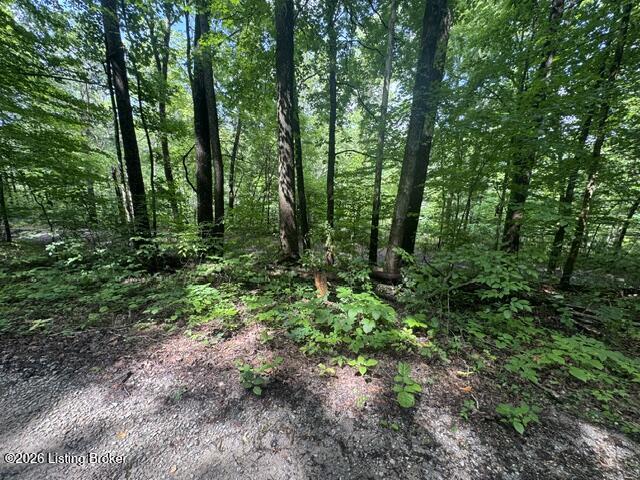 0 Plane Tree Ln Property Photo 6