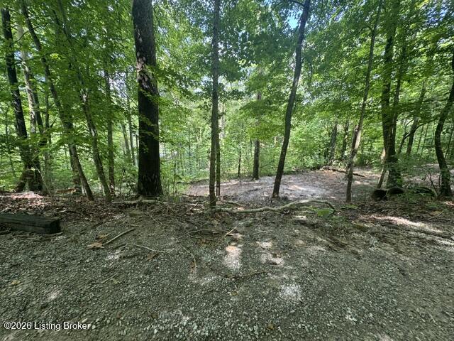 0 Plane Tree Ln Property Photo 10