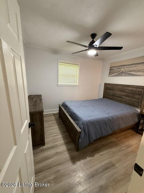 157 Winchester Dr Property Photo 11