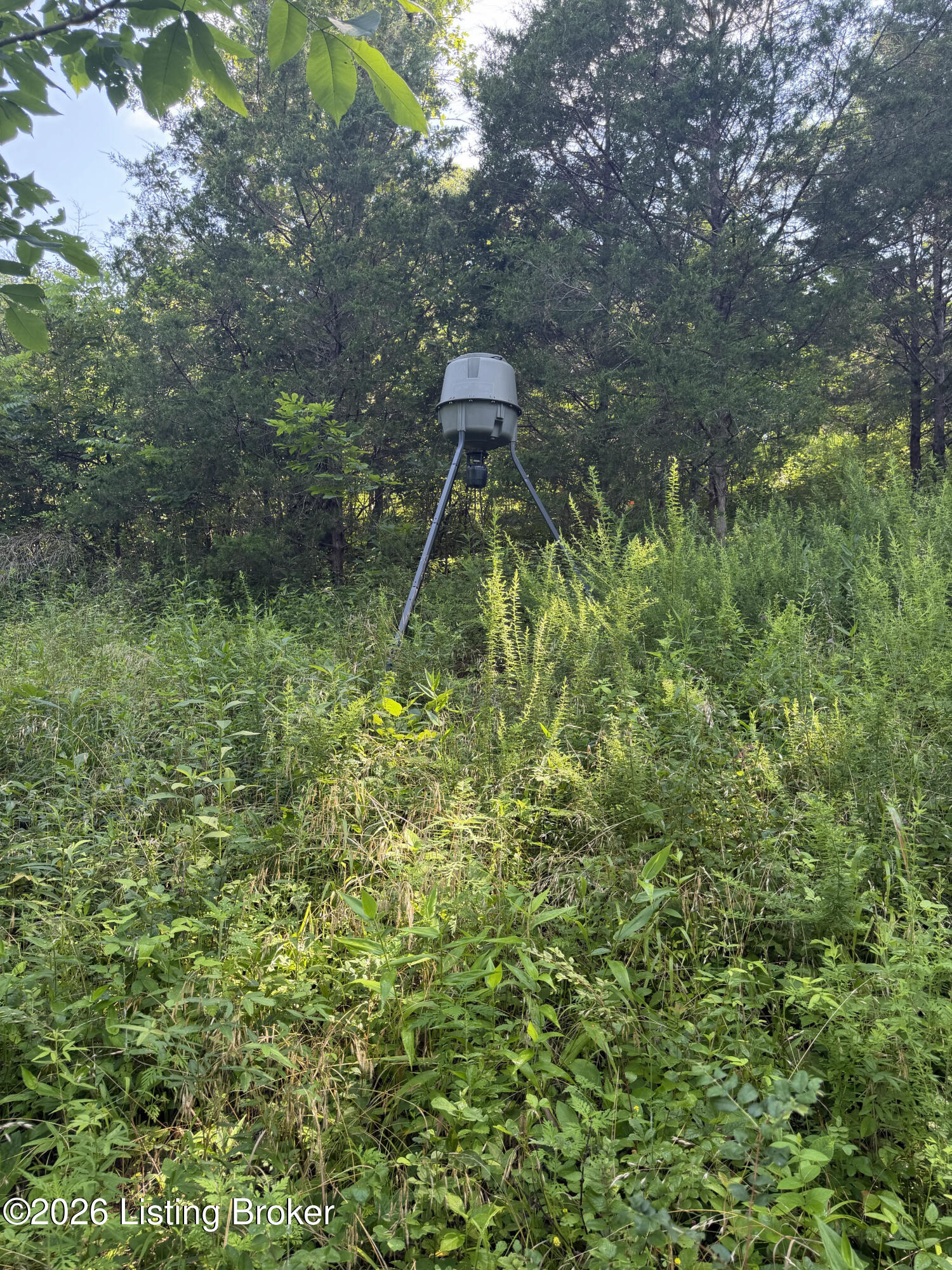 1504 Beech Creek Rd Property Photo 3