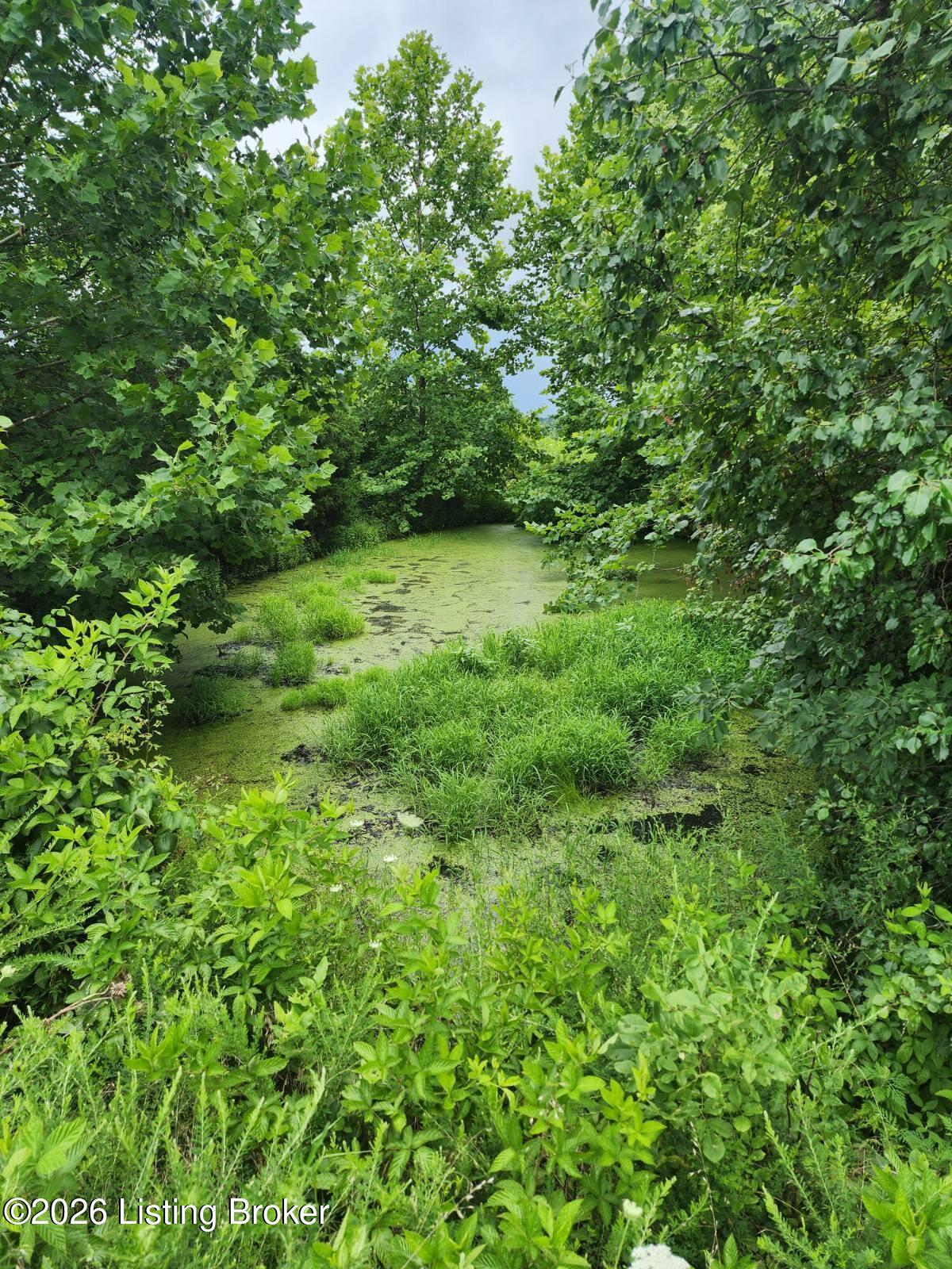 1504 Beech Creek Rd Property Photo 12