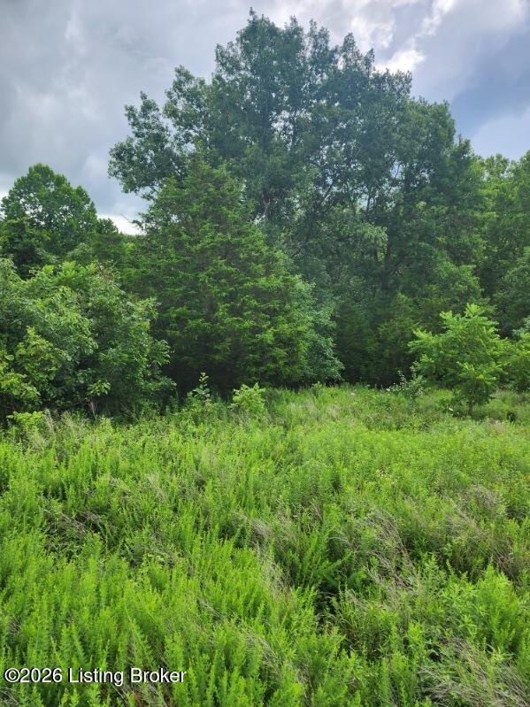 1504 Beech Creek Rd Property Photo 13