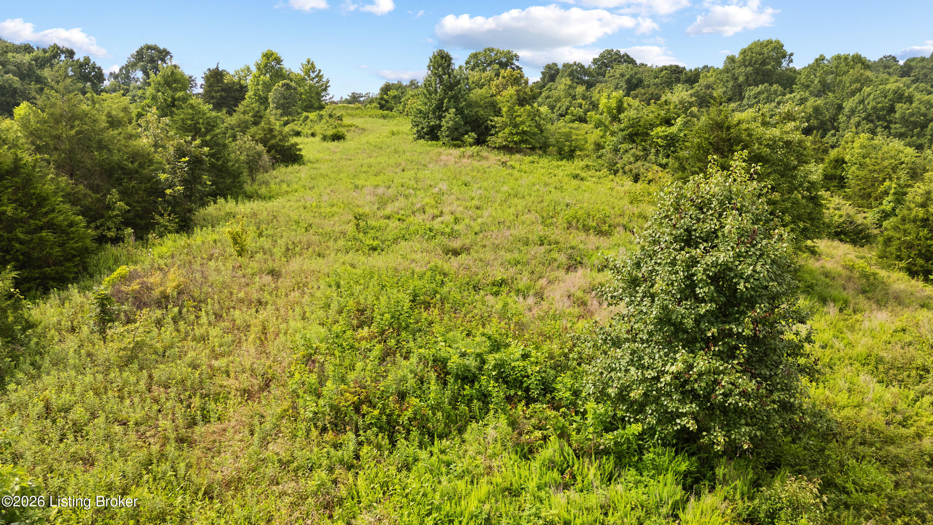 1504 Beech Creek Rd Property Photo 17