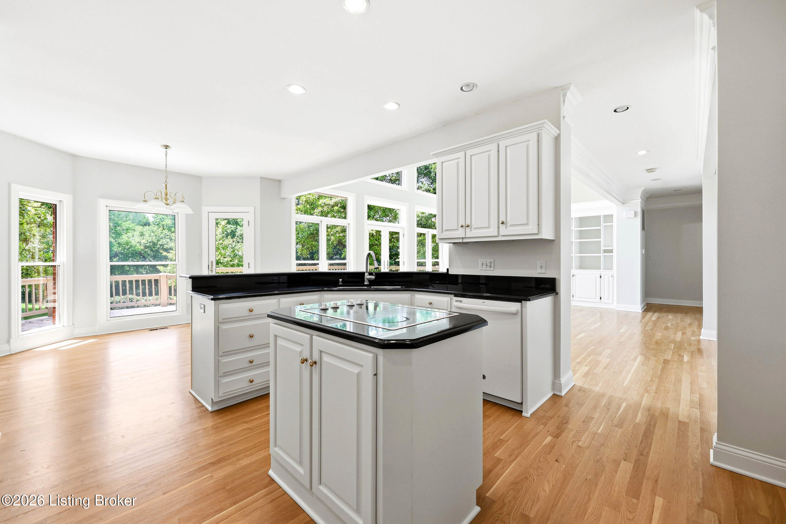 205 Sycamore Hills Ct Property Photo 22