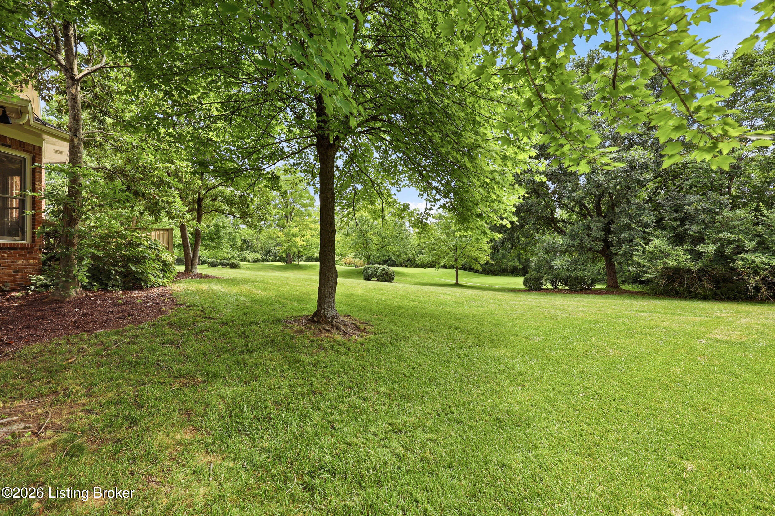 205 Sycamore Hills Ct Property Photo 63