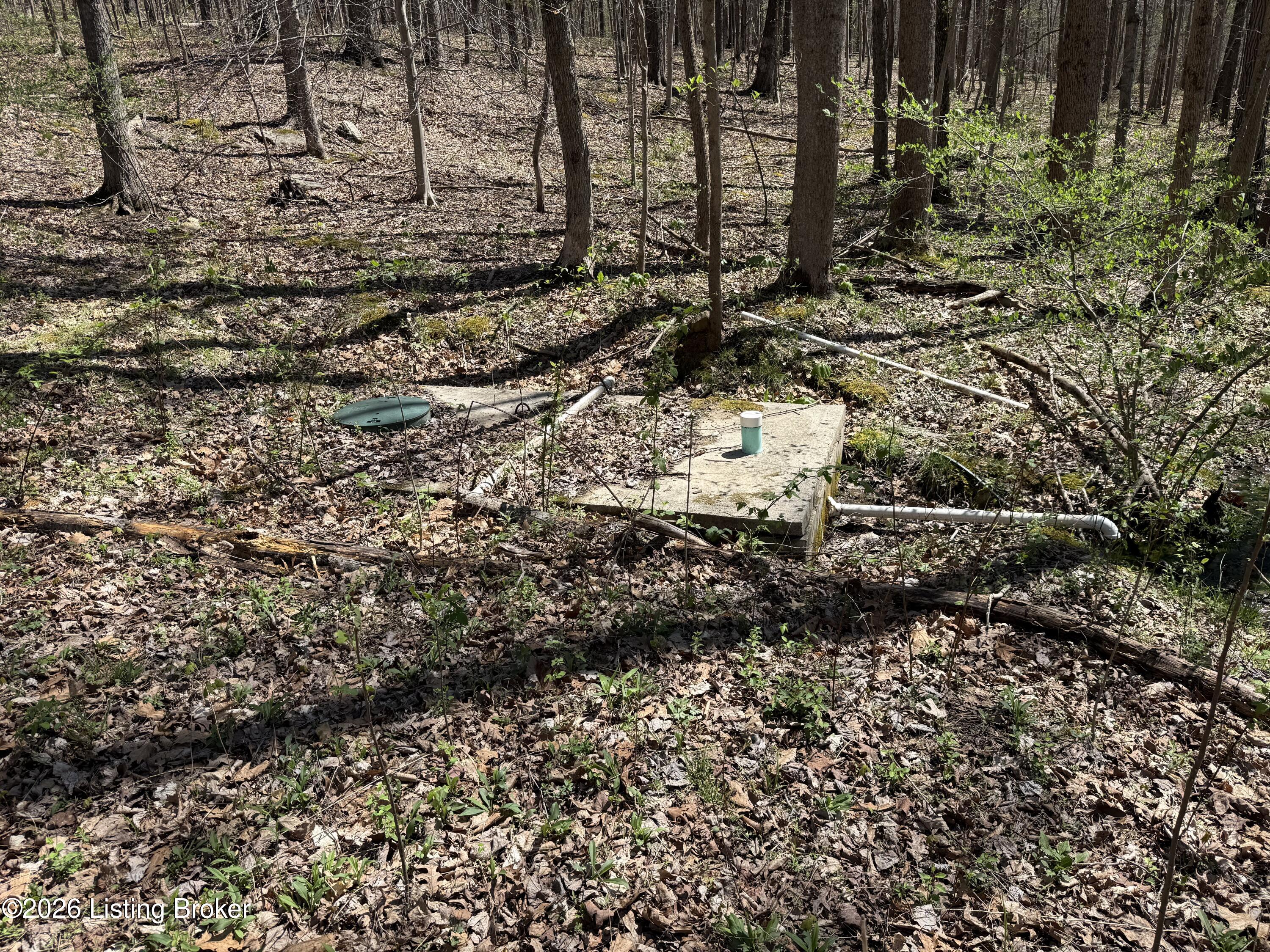 9508 Ky-86 Property Photo 3