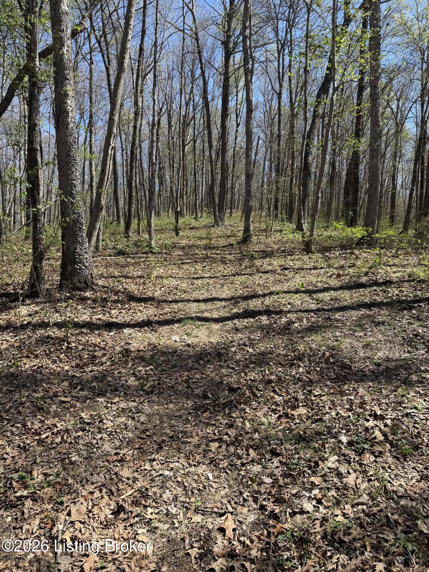 9508 Ky-86 Property Photo 4