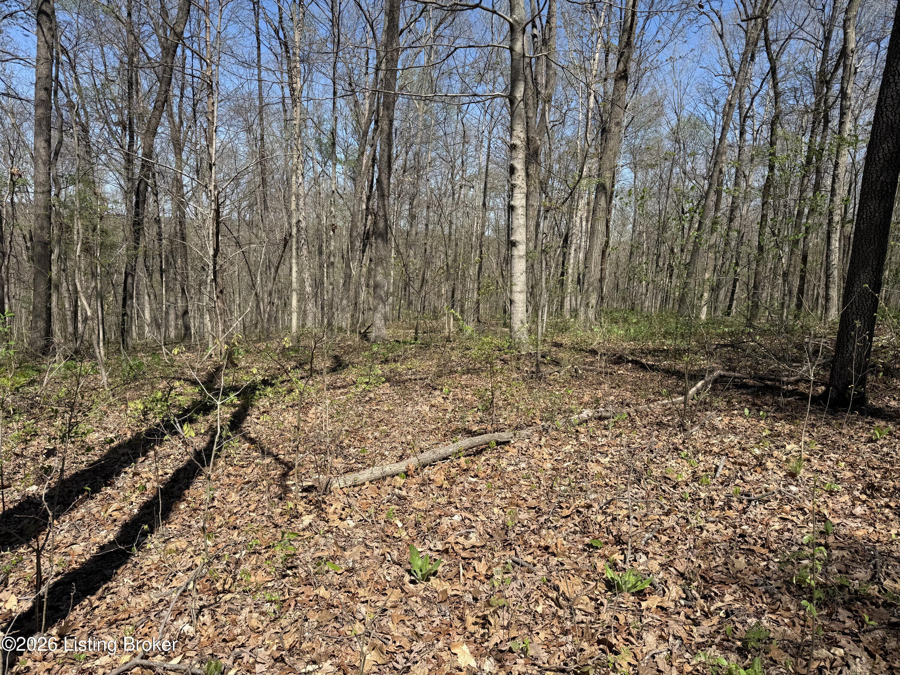 9508 Ky-86 Property Photo 5