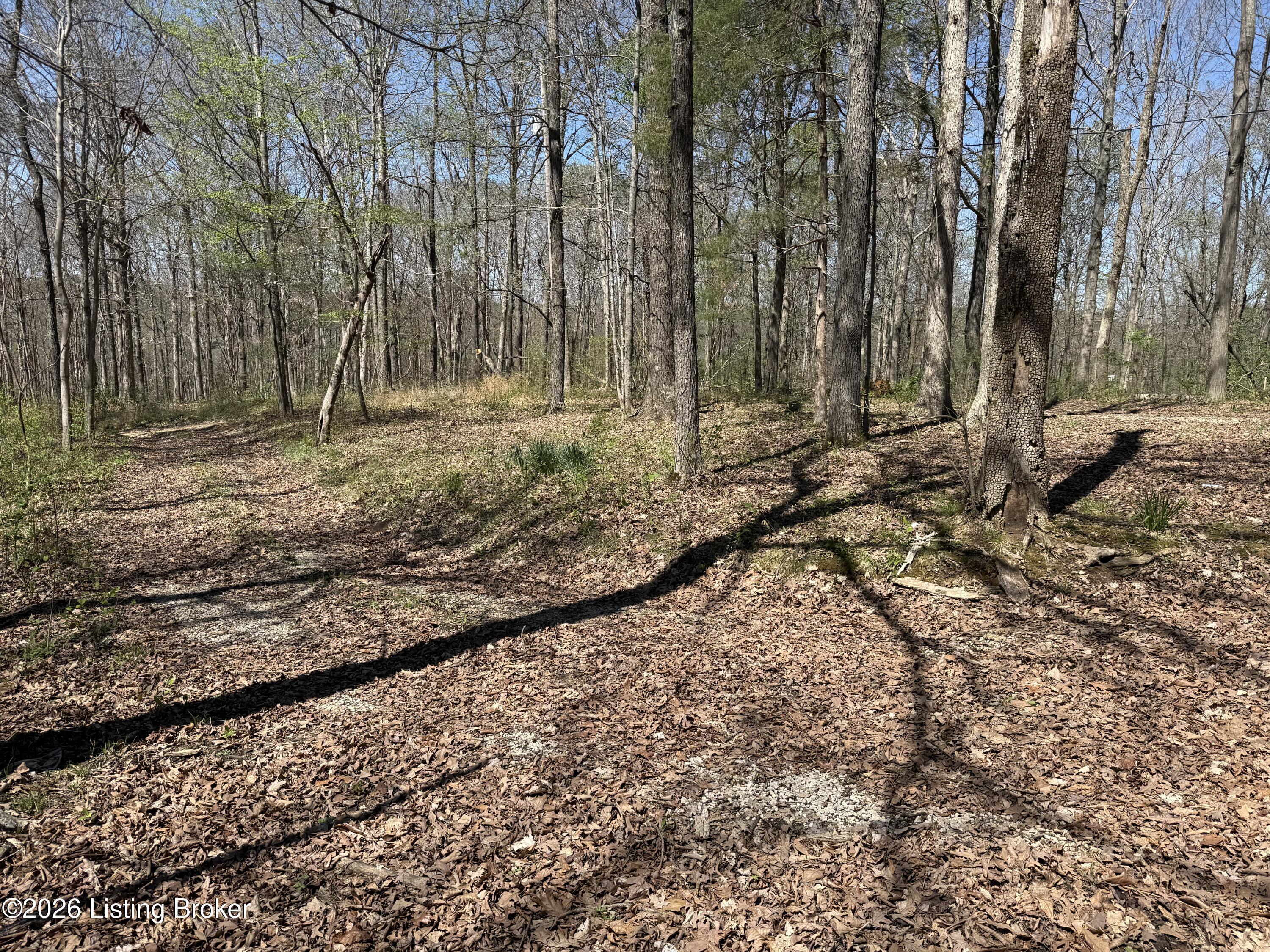 9508 Ky-86 Property Photo 6