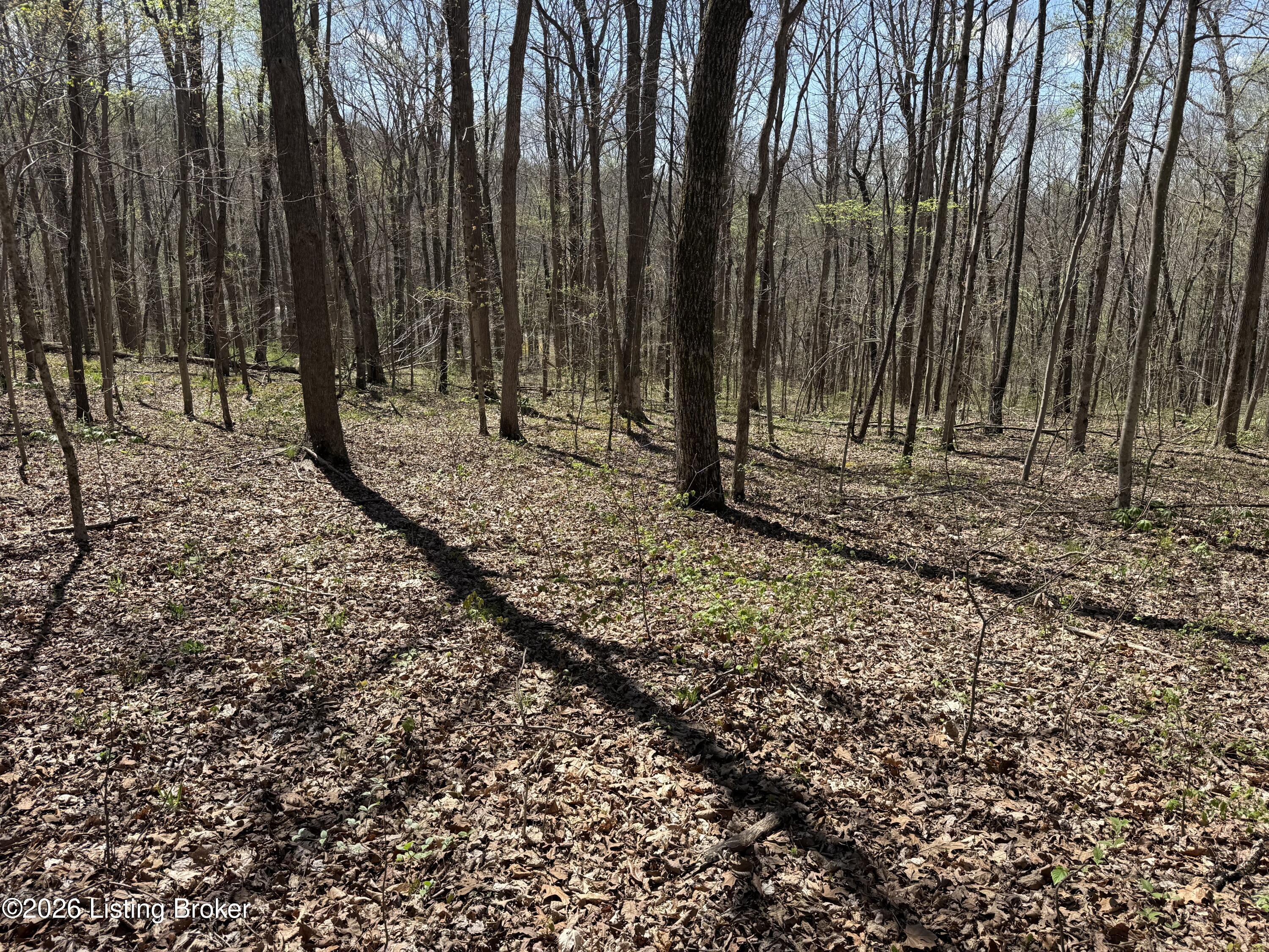 9508 Ky-86 Property Photo 7