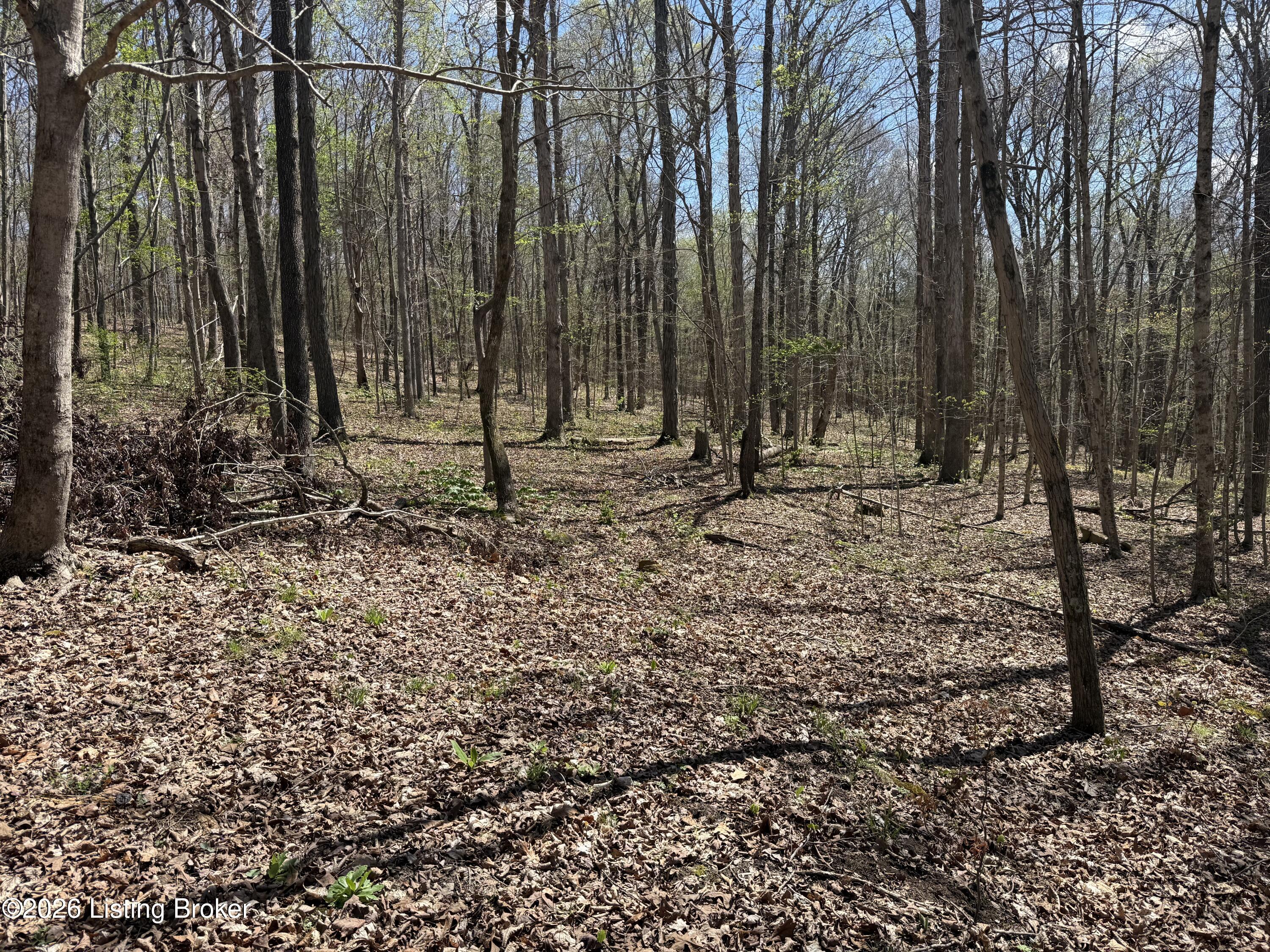 9508 Ky-86 Property Photo 8