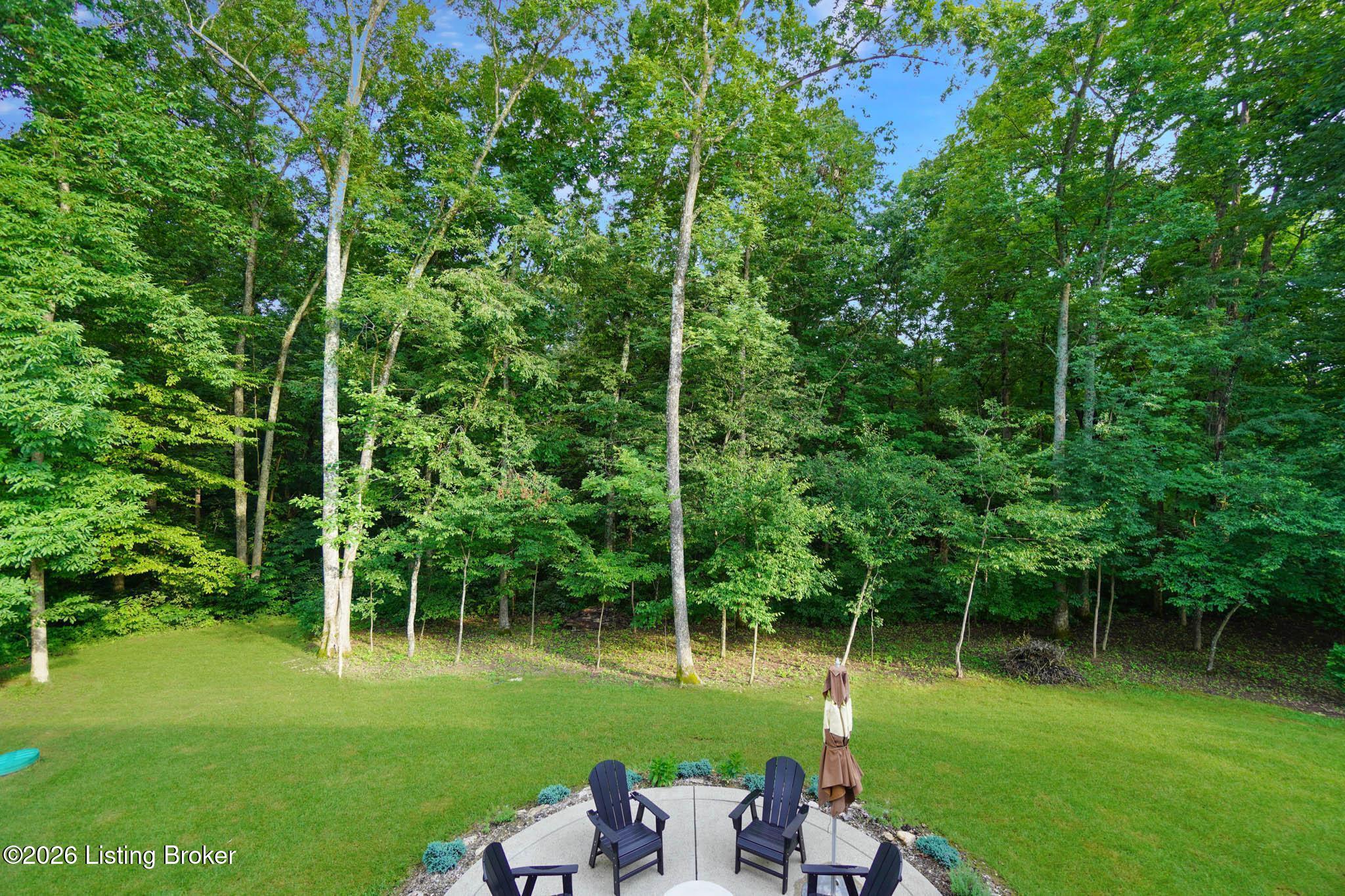 4209 Ballard Ridge Ct Property Photo 83