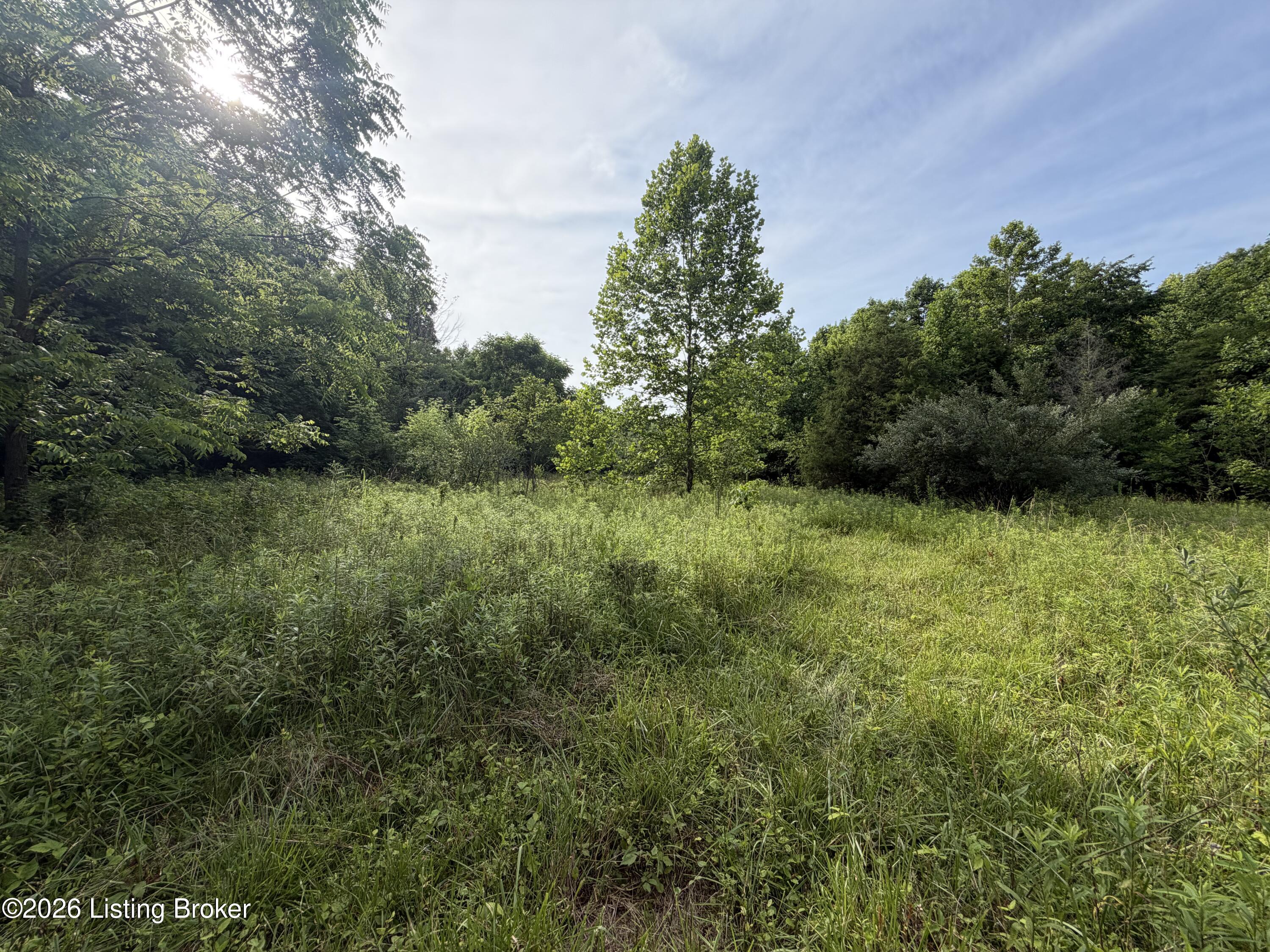 0 Dogwood Cross Rd Property Photo 1