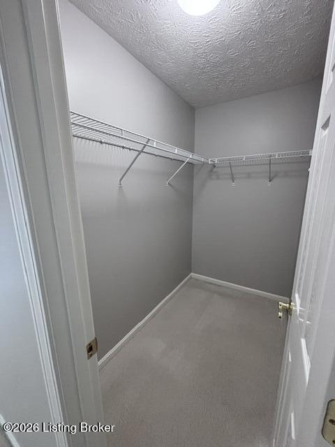 4100 Grenden Fields Dr Property Photo 25