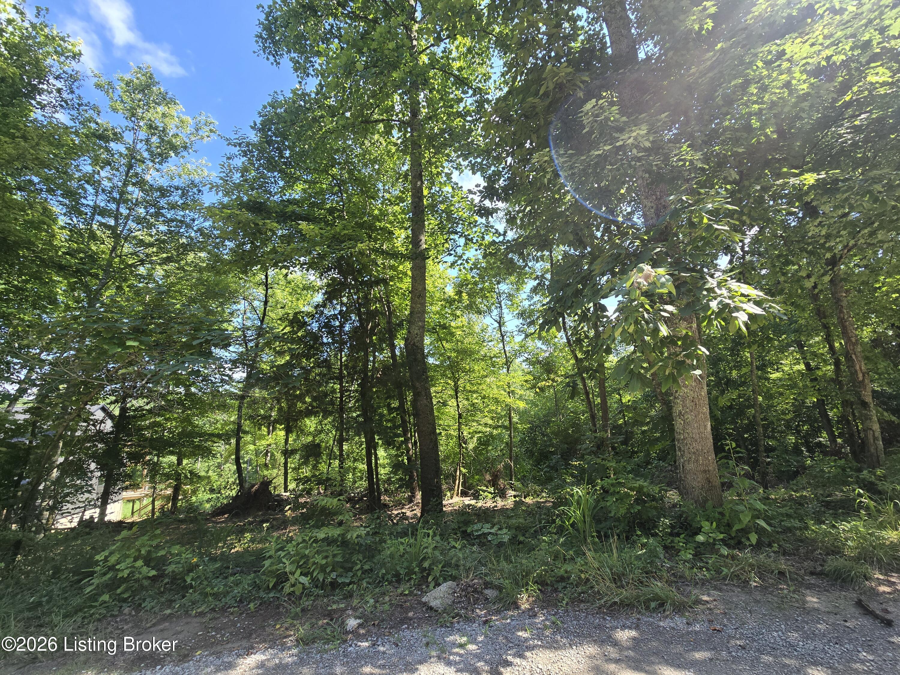 1007 Hunting Ground Rd Property Photo 1