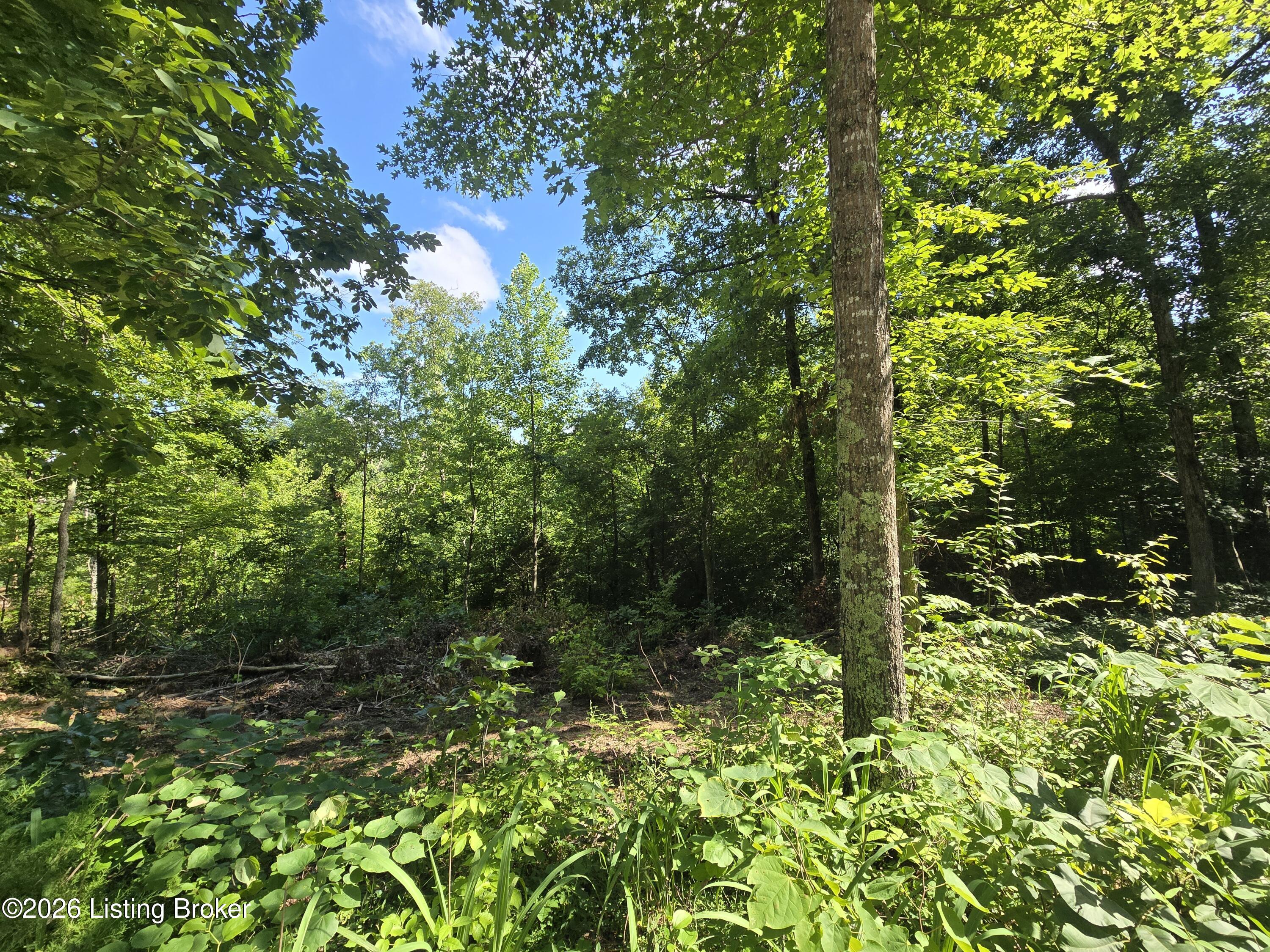 1007 Hunting Ground Rd Property Photo 2