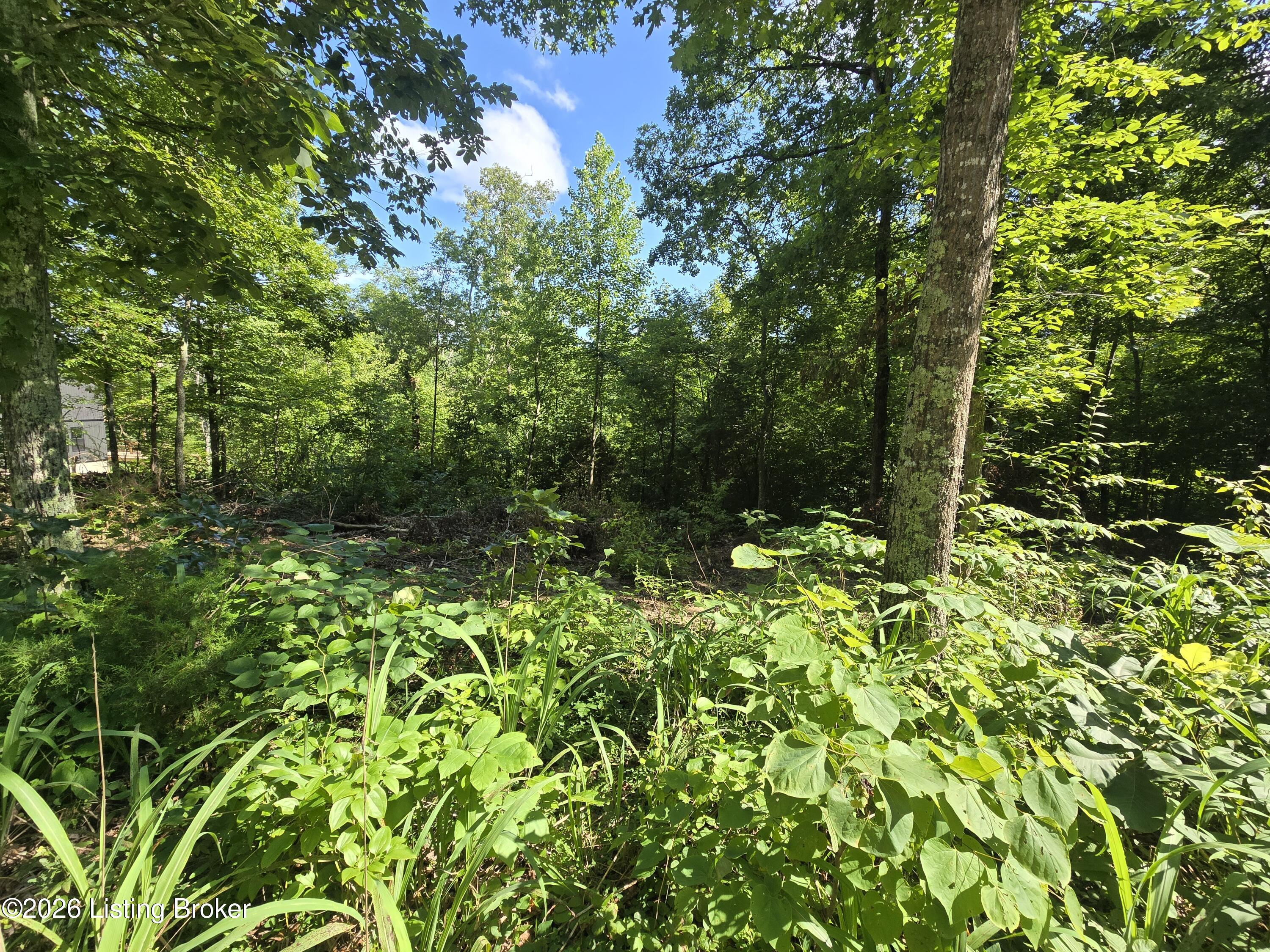 1007 Hunting Ground Rd Property Photo 3