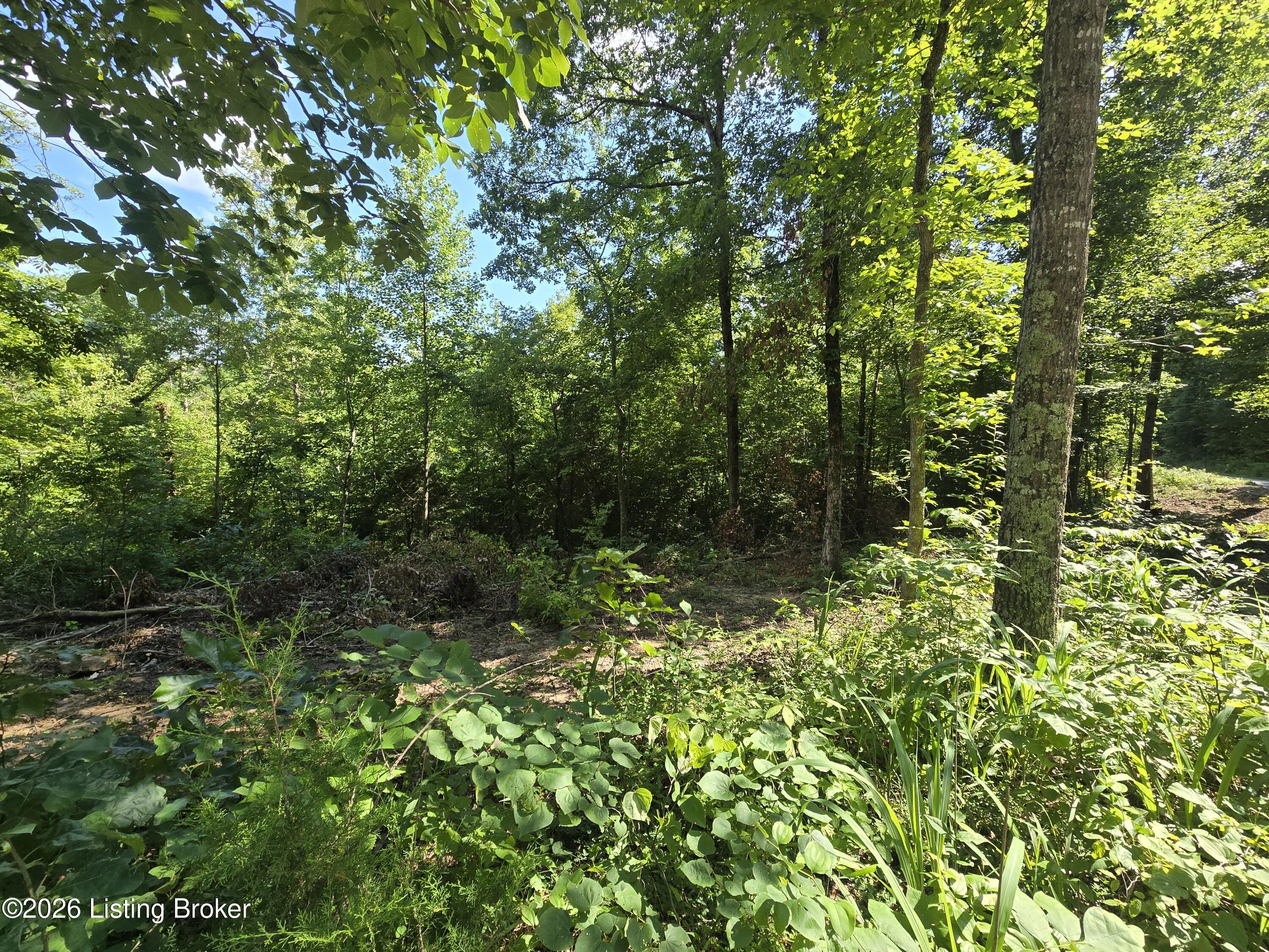 1007 Hunting Ground Rd Property Photo 4