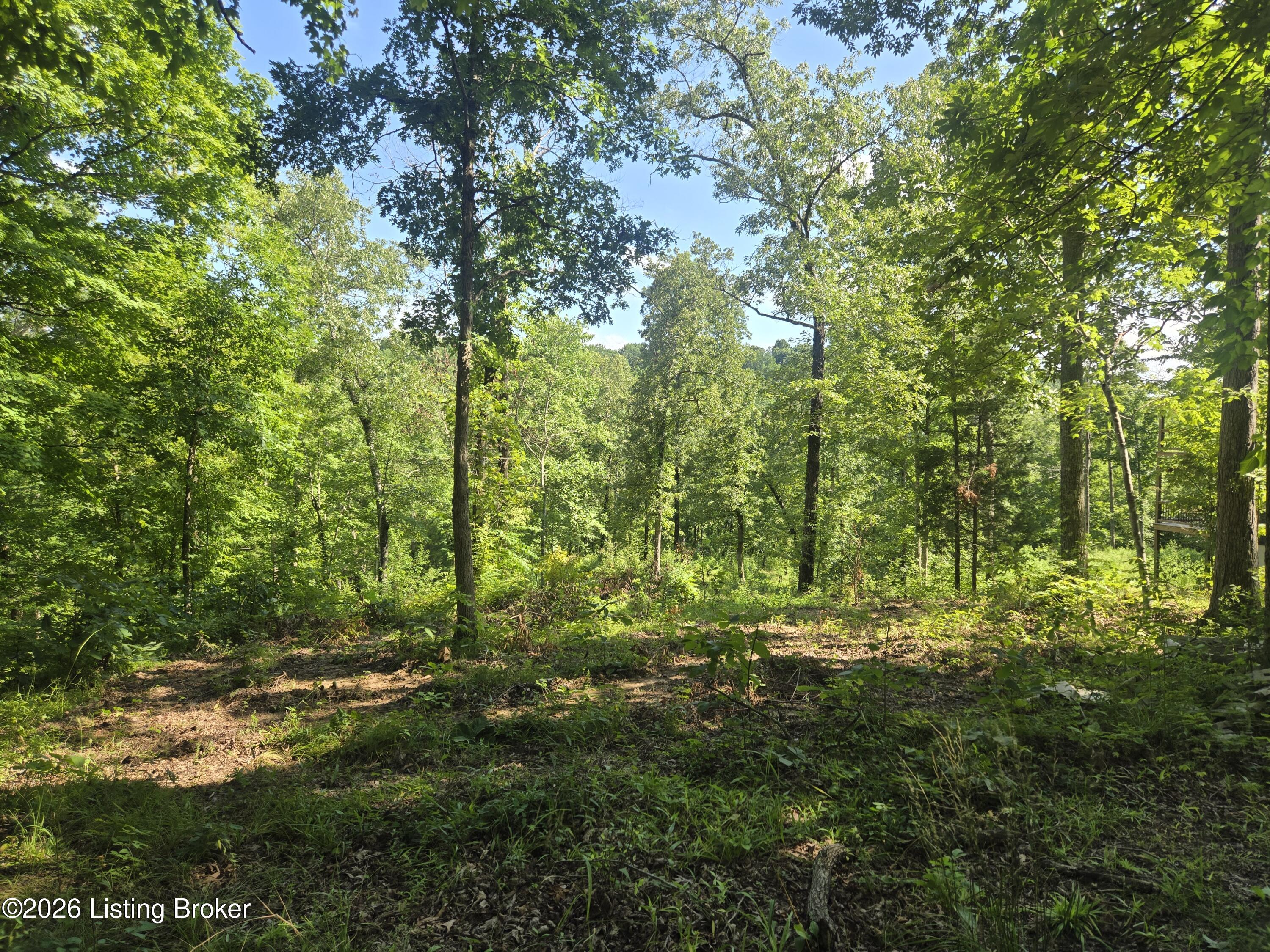 1057 Hunting Ground Rd Property Photo 1