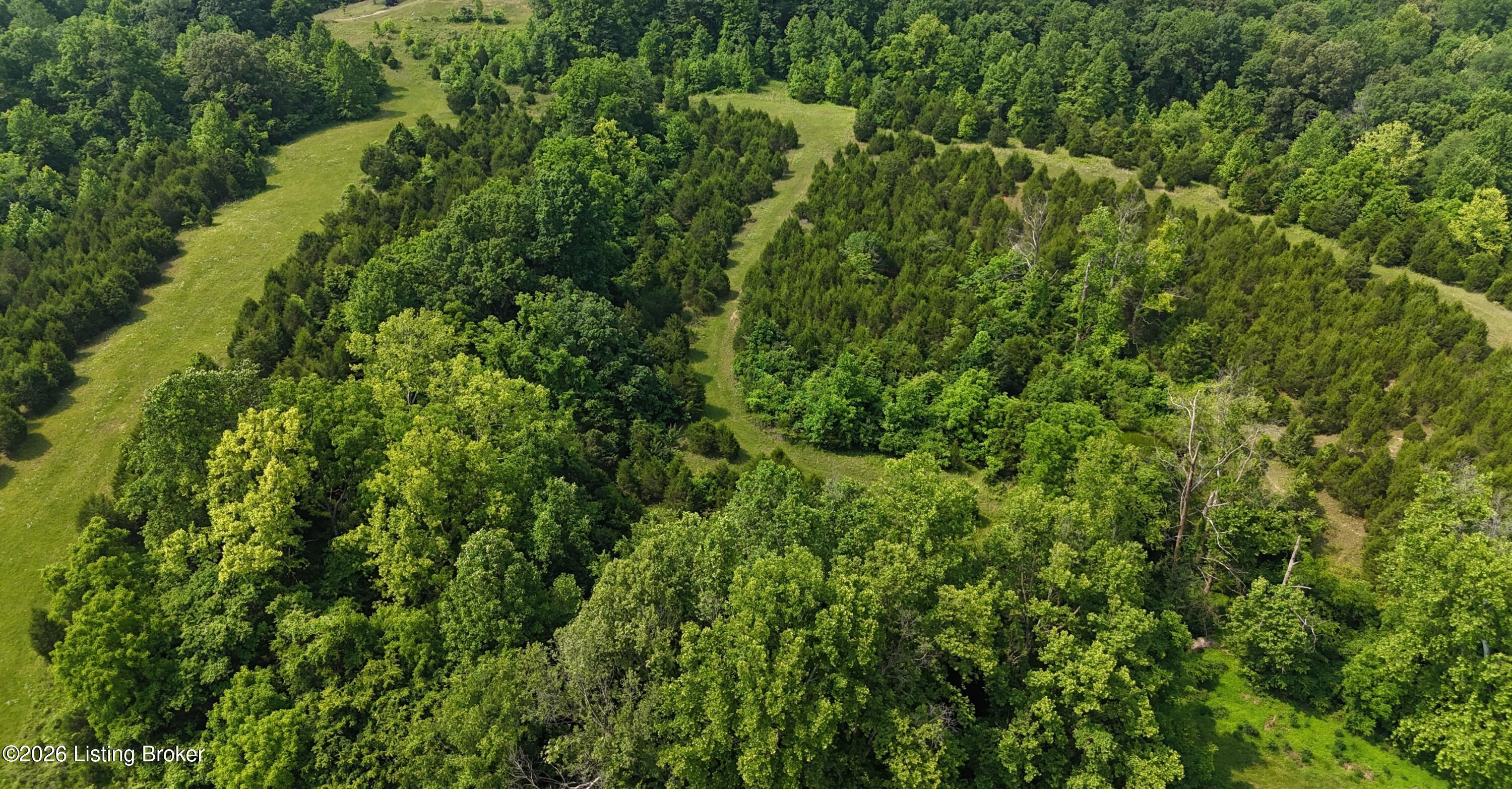 0 Locust Grove Rd Property Photo 3