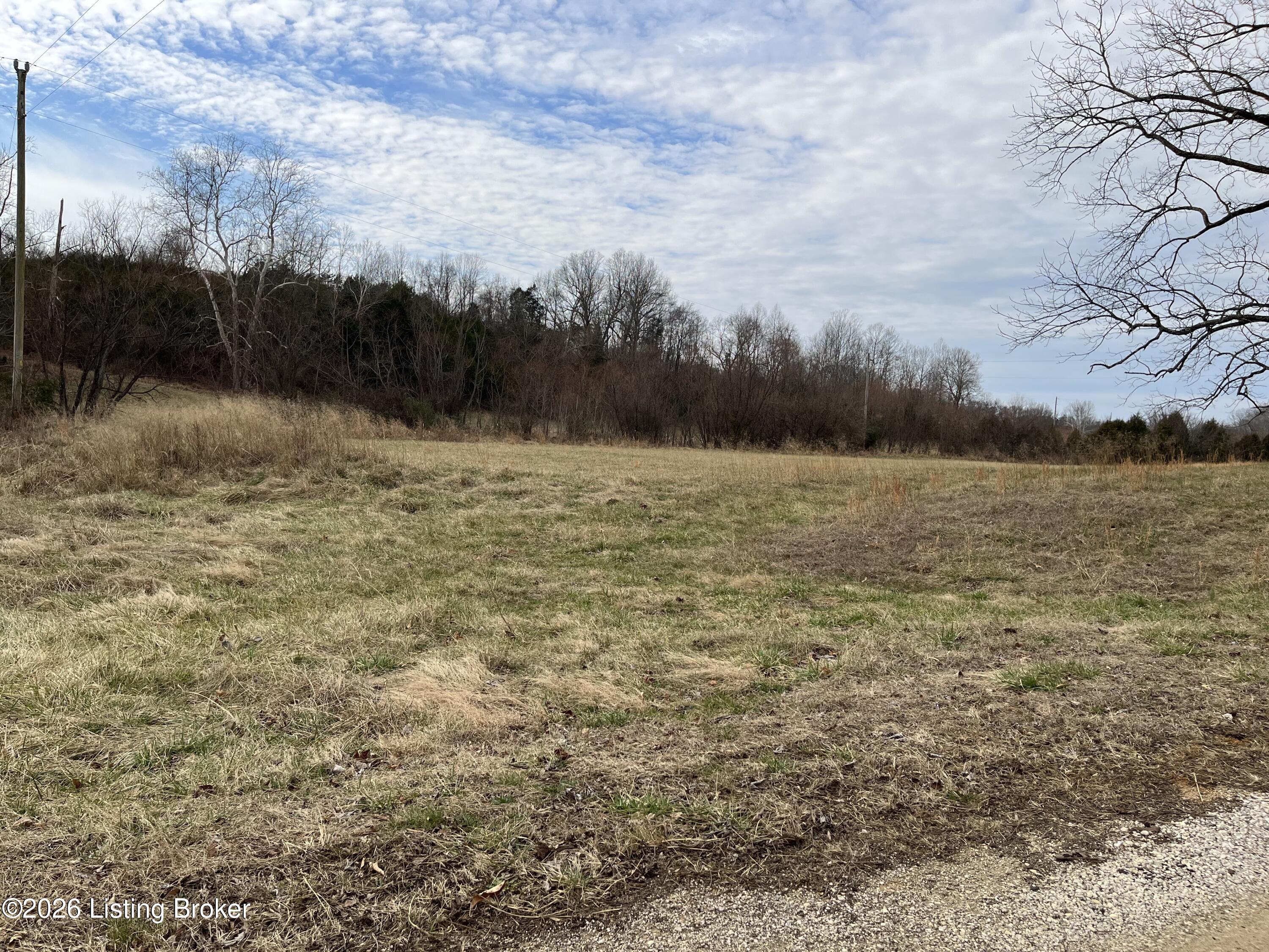 0 Locust Grove Rd Property Photo 9