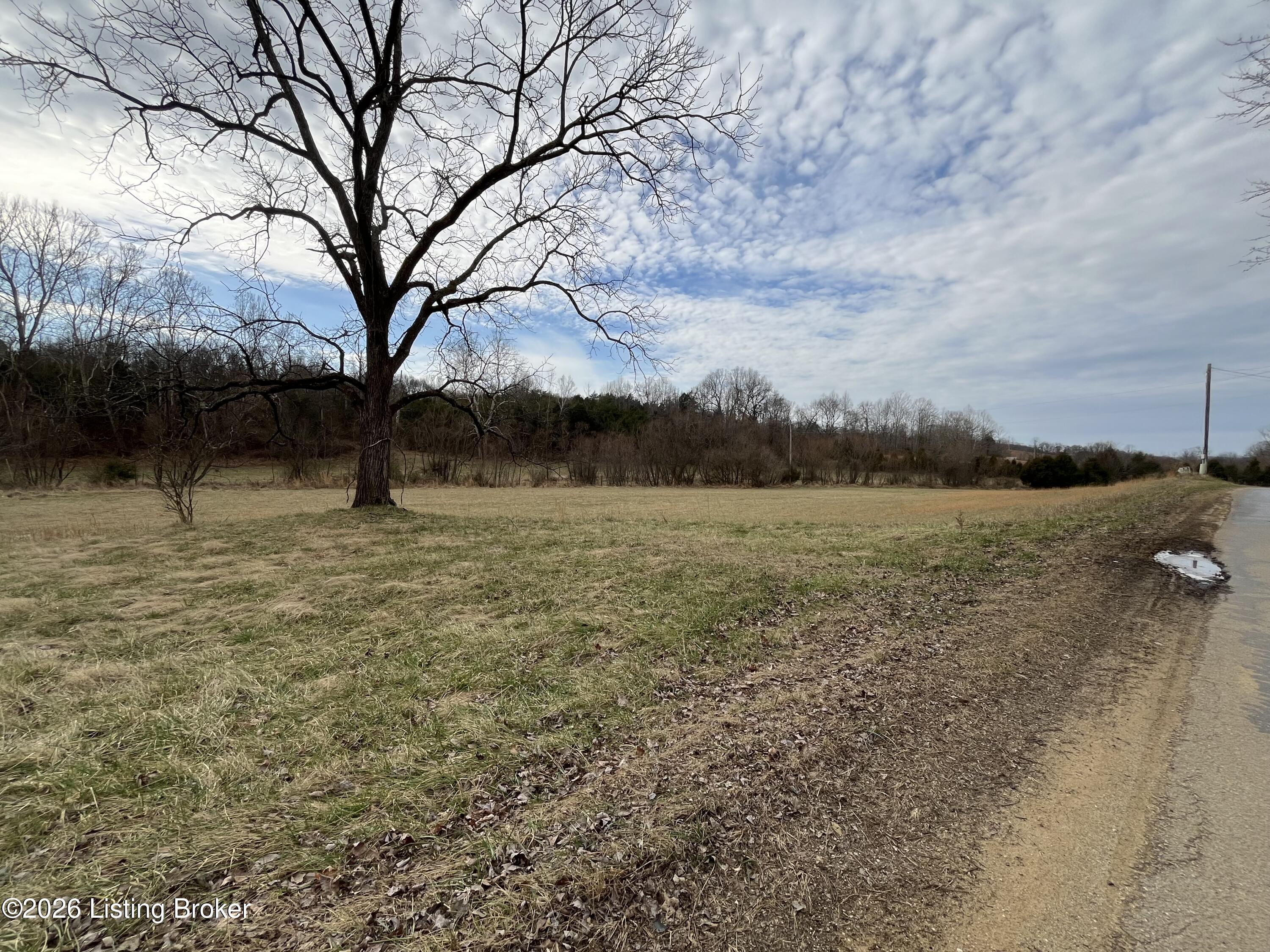 0 Locust Grove Rd Property Photo 10