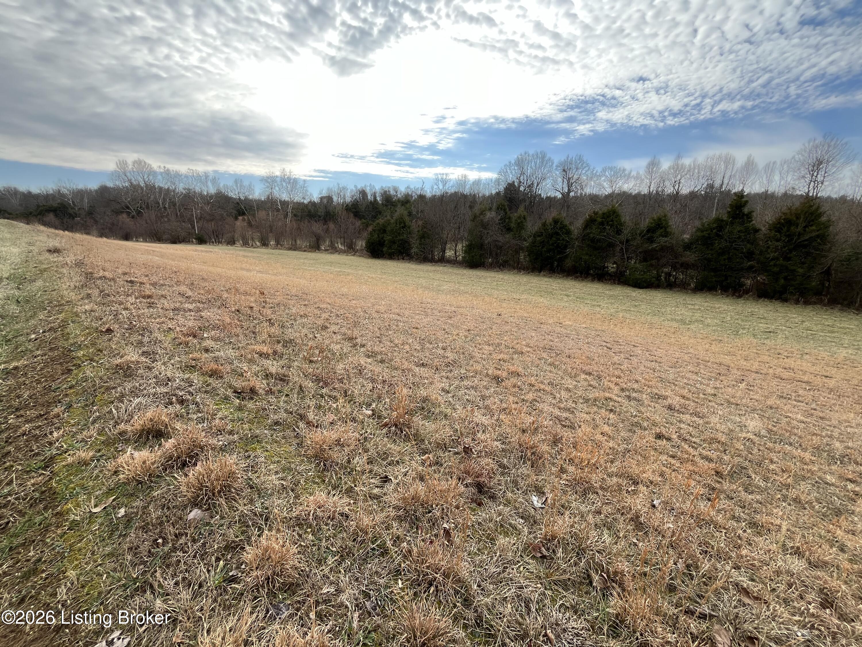 0 Locust Grove Rd Property Photo 11