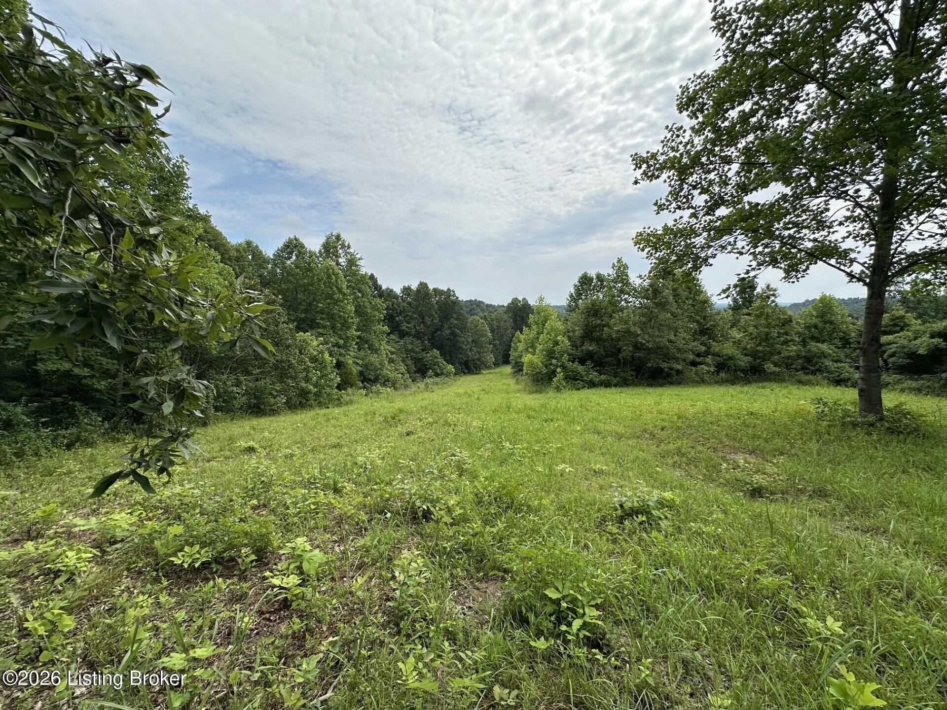 998 Old Buzzard Roost Rd Property Photo 3