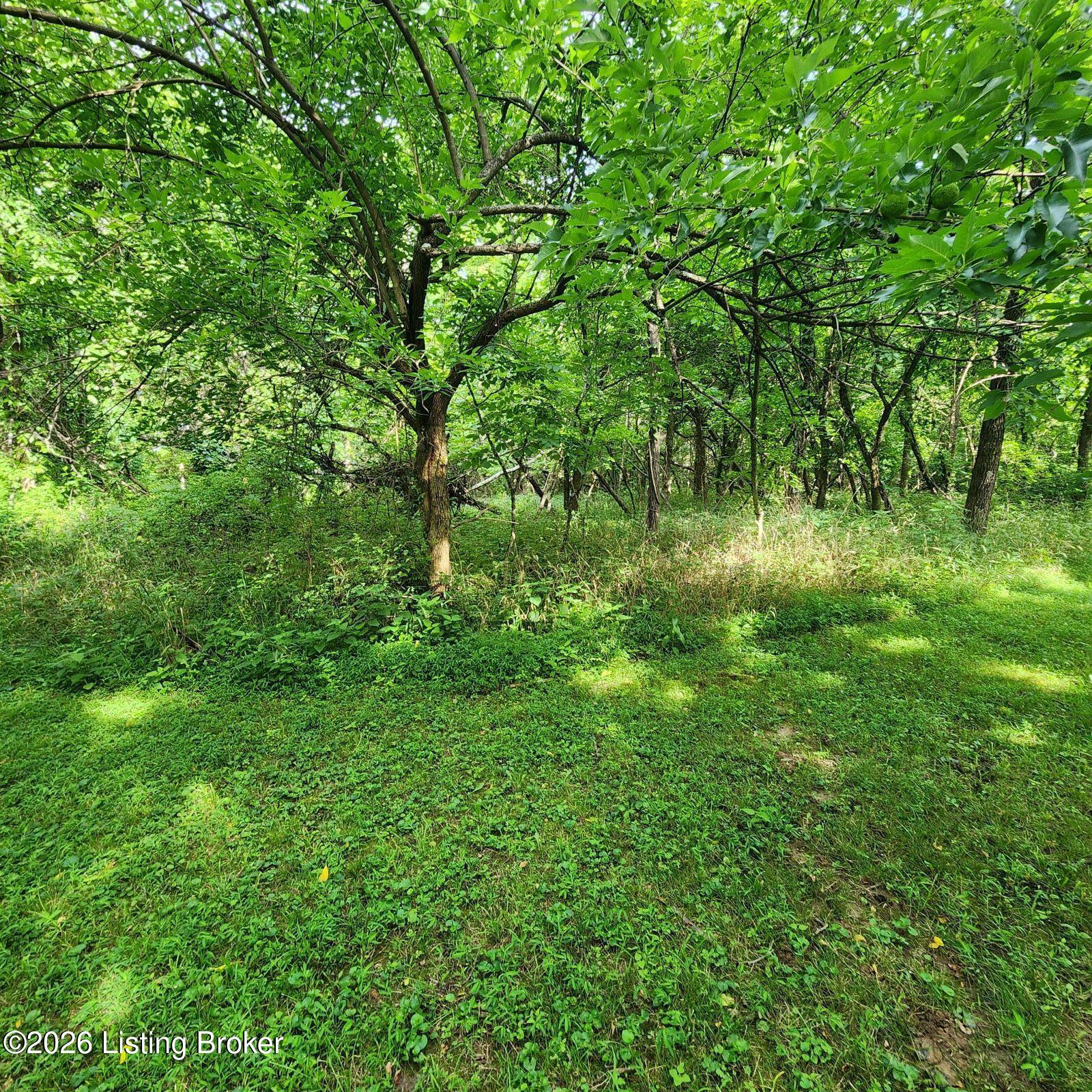 318 Elk Creek Rd Property Photo 2
