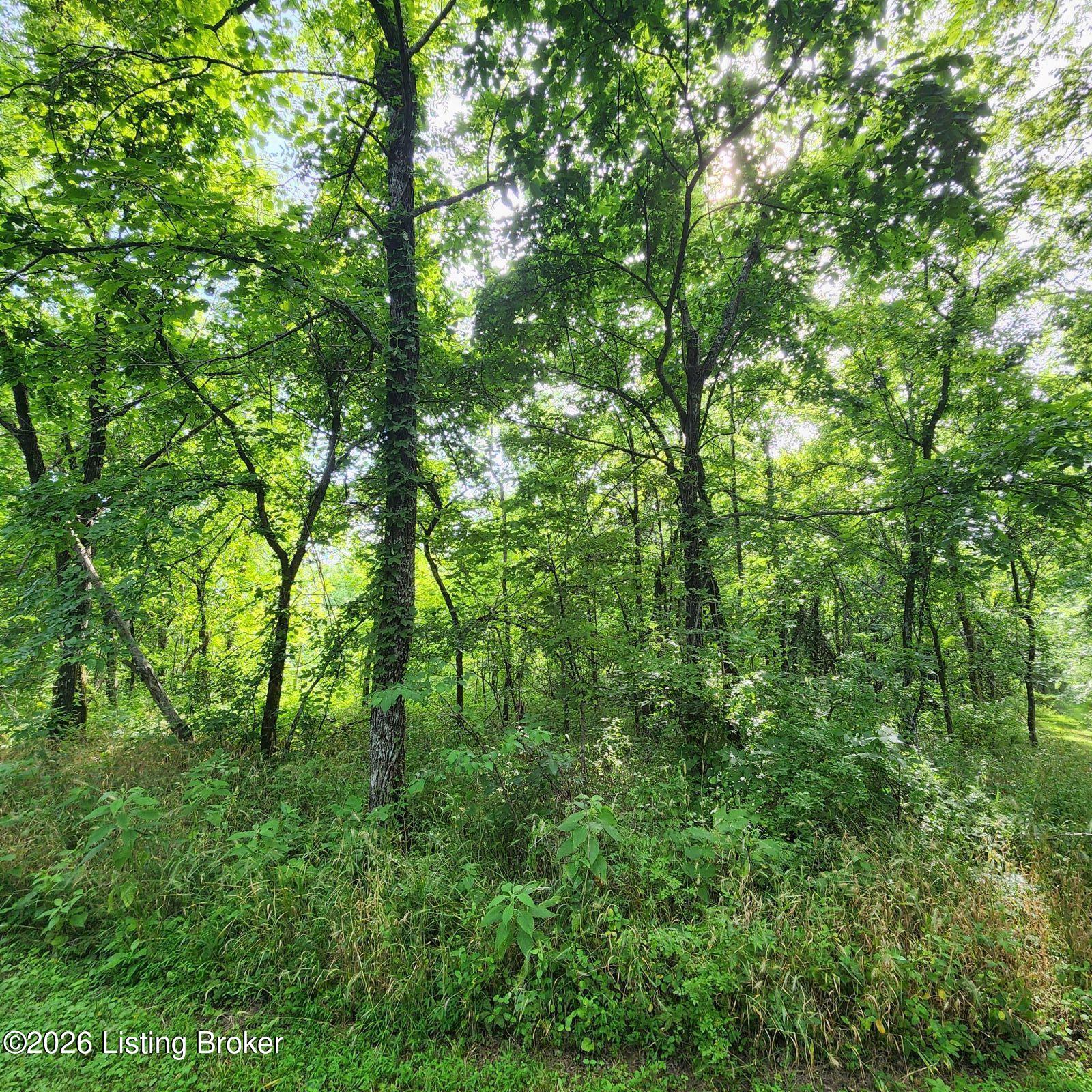 318 Elk Creek Rd Property Photo 3