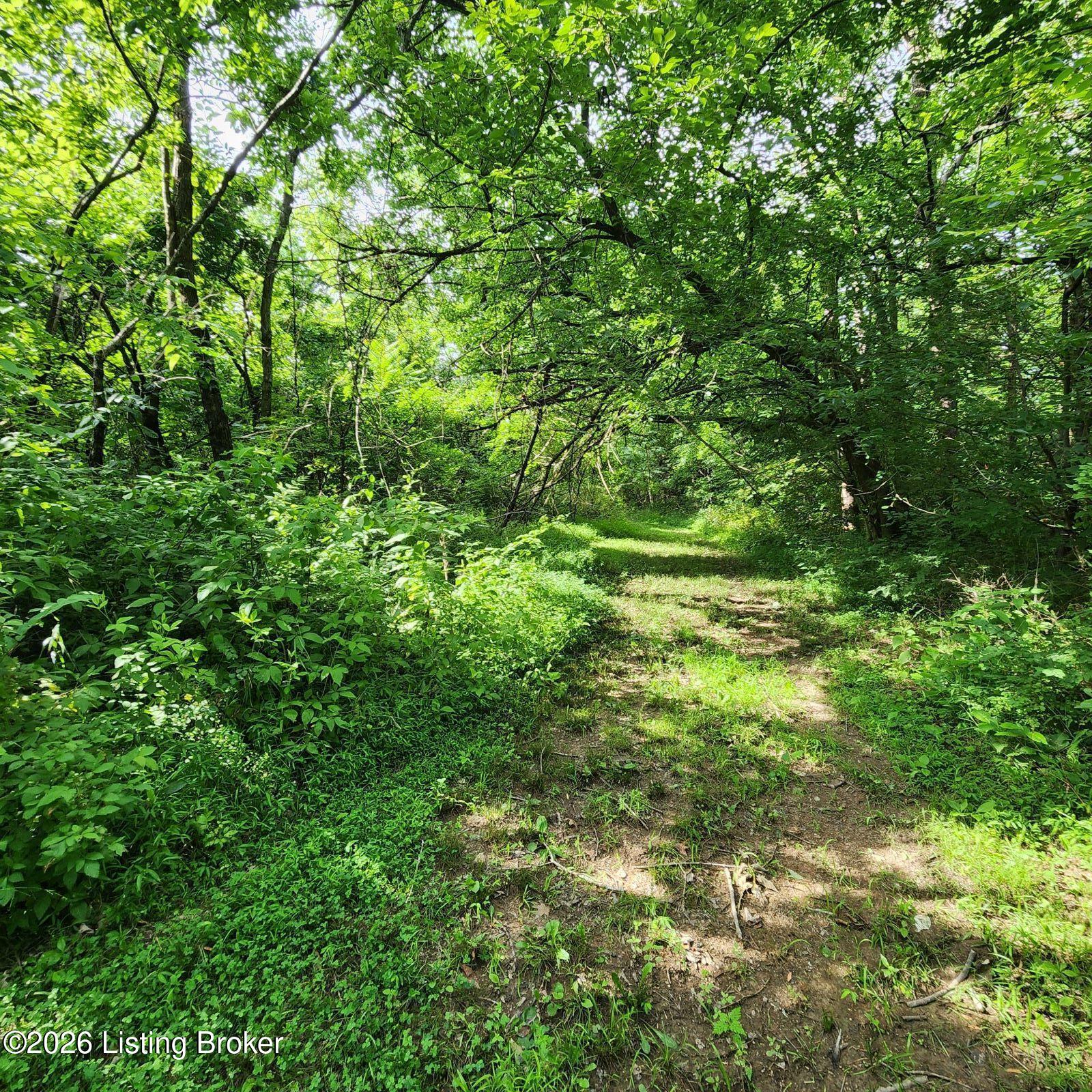318 Elk Creek Rd Property Photo 4