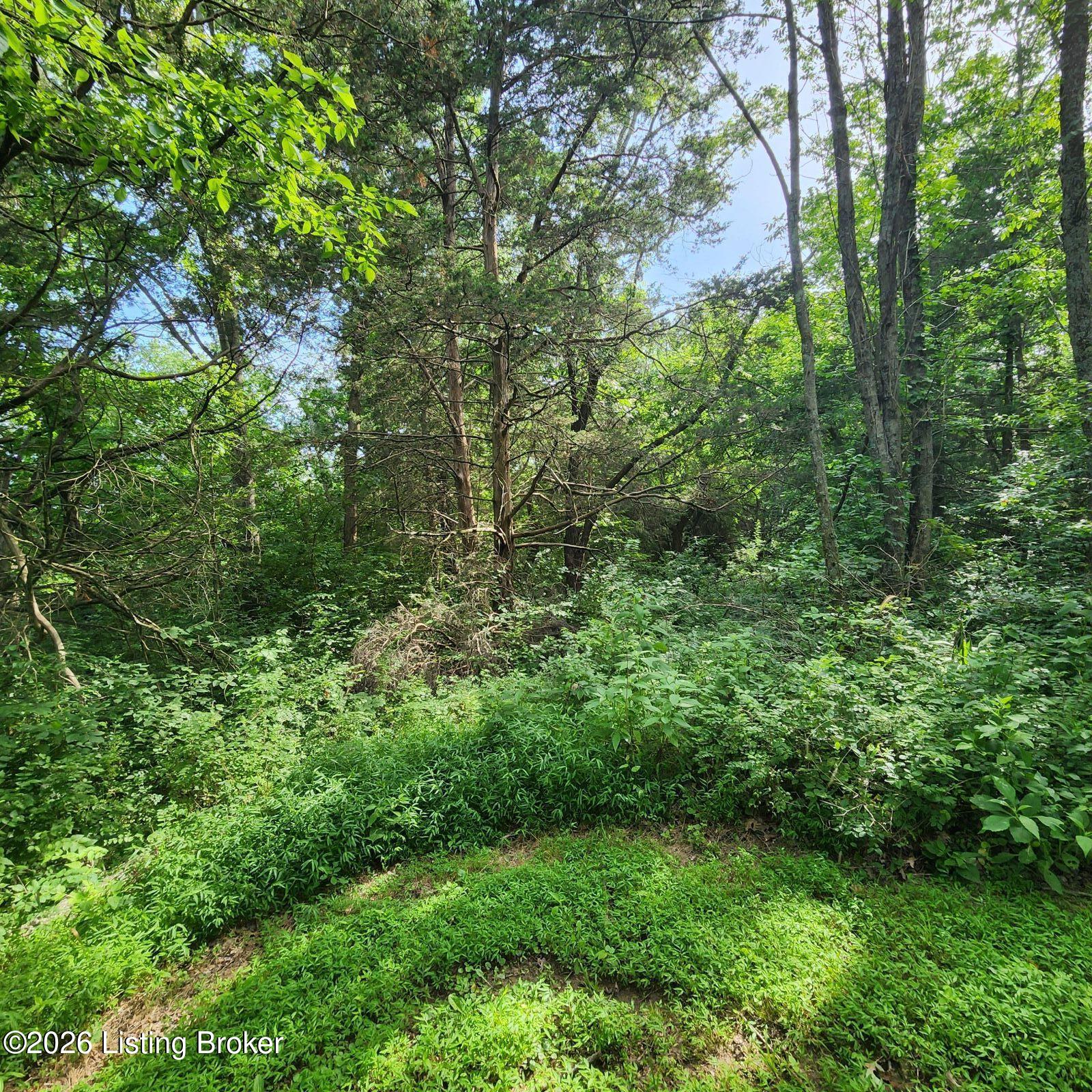 318 Elk Creek Rd Property Photo 5