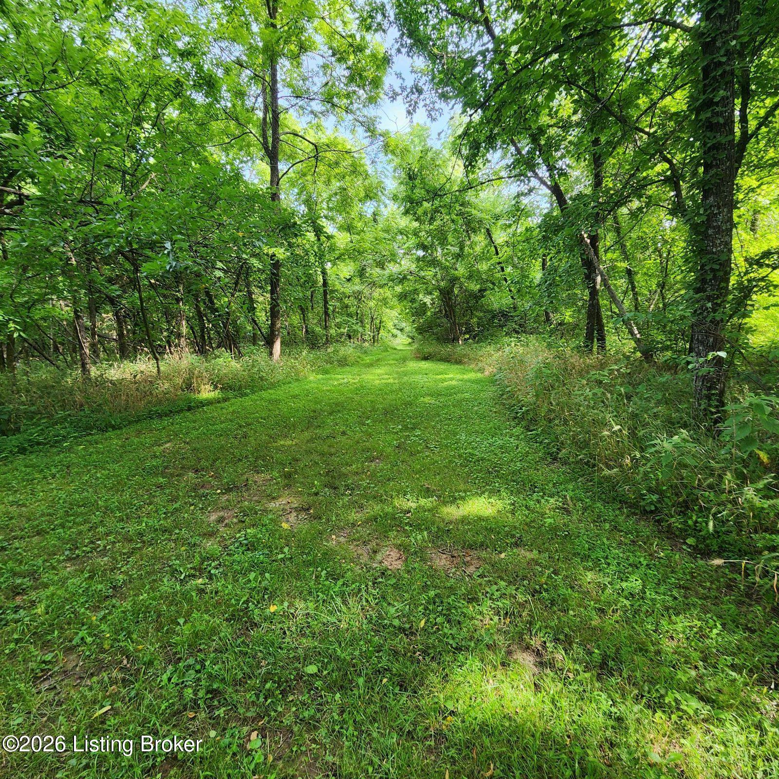 318 Elk Creek Rd Property Photo 7