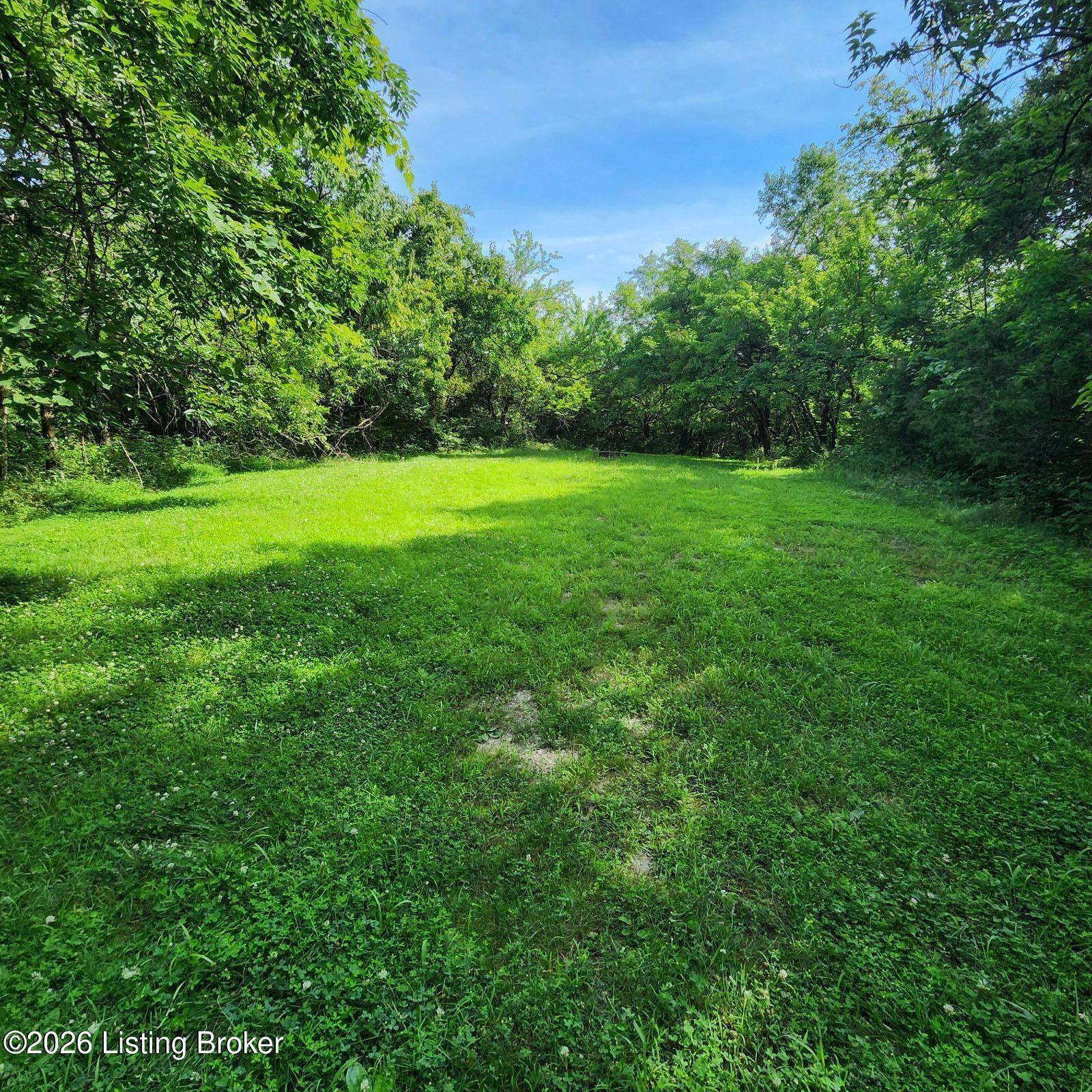318 Elk Creek Rd Property Photo 9
