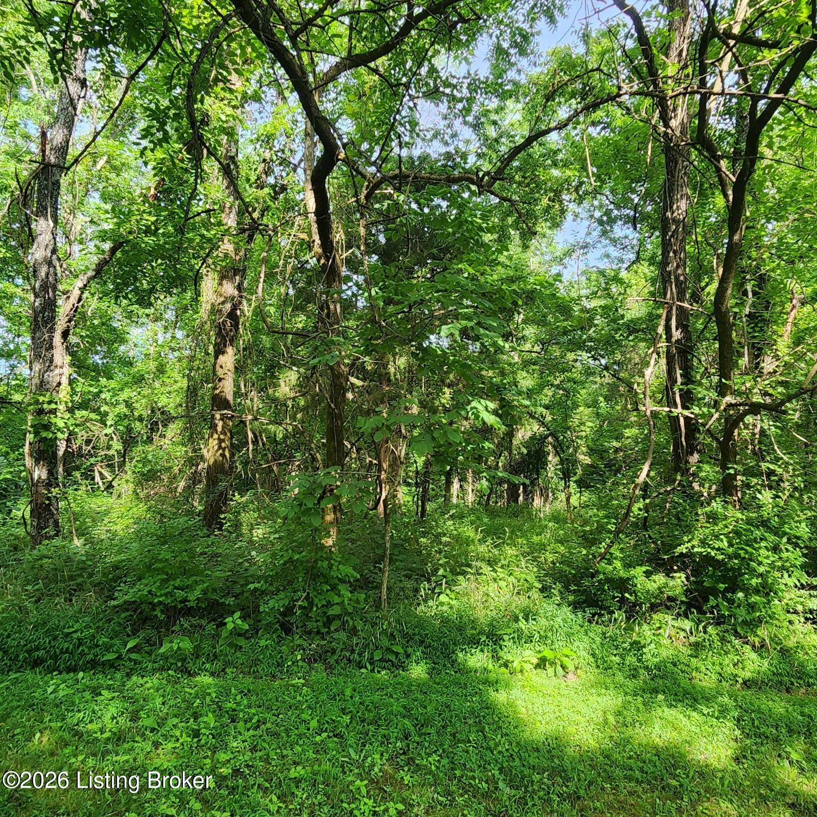 318 Elk Creek Rd Property Photo 10