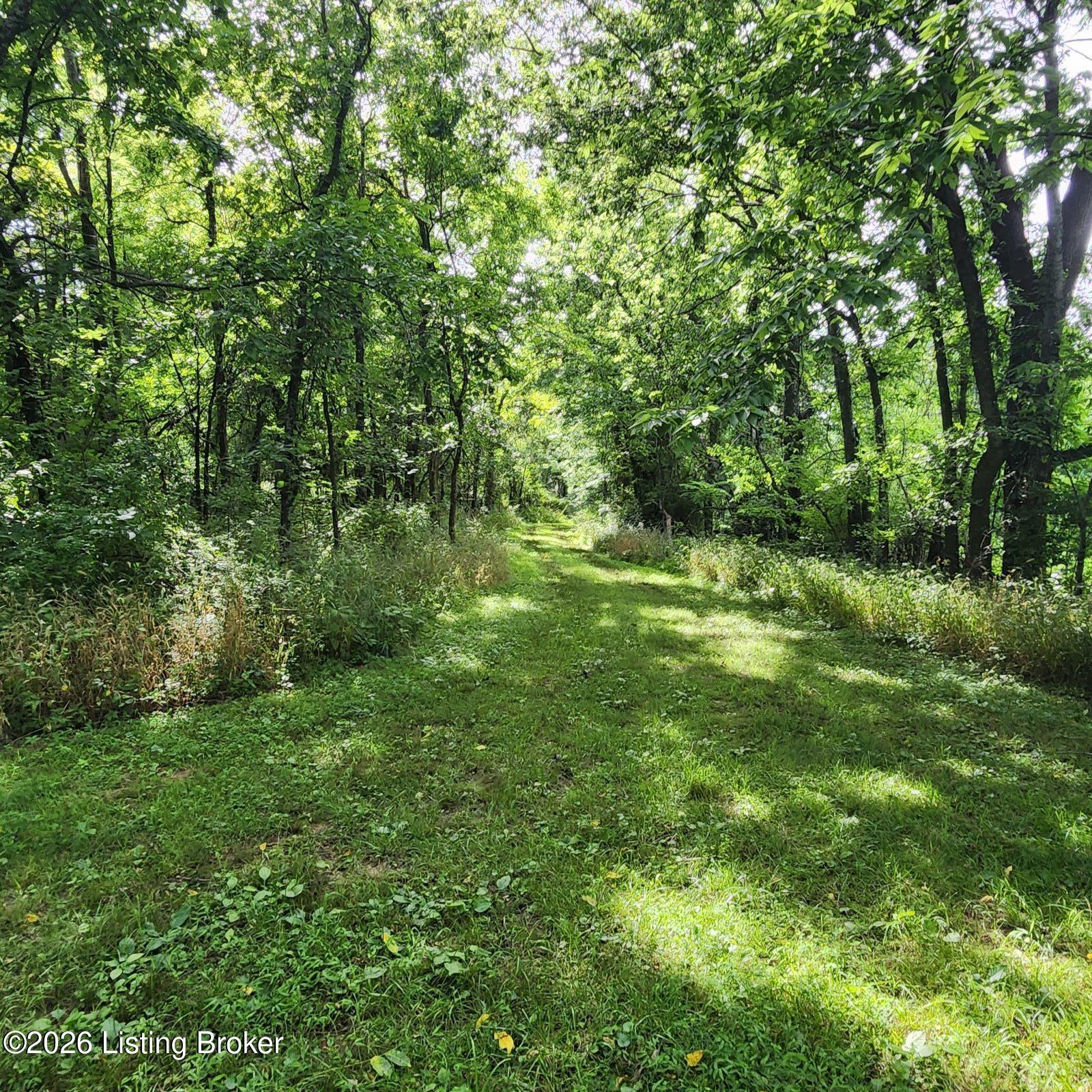 318 Elk Creek Rd Property Photo 11