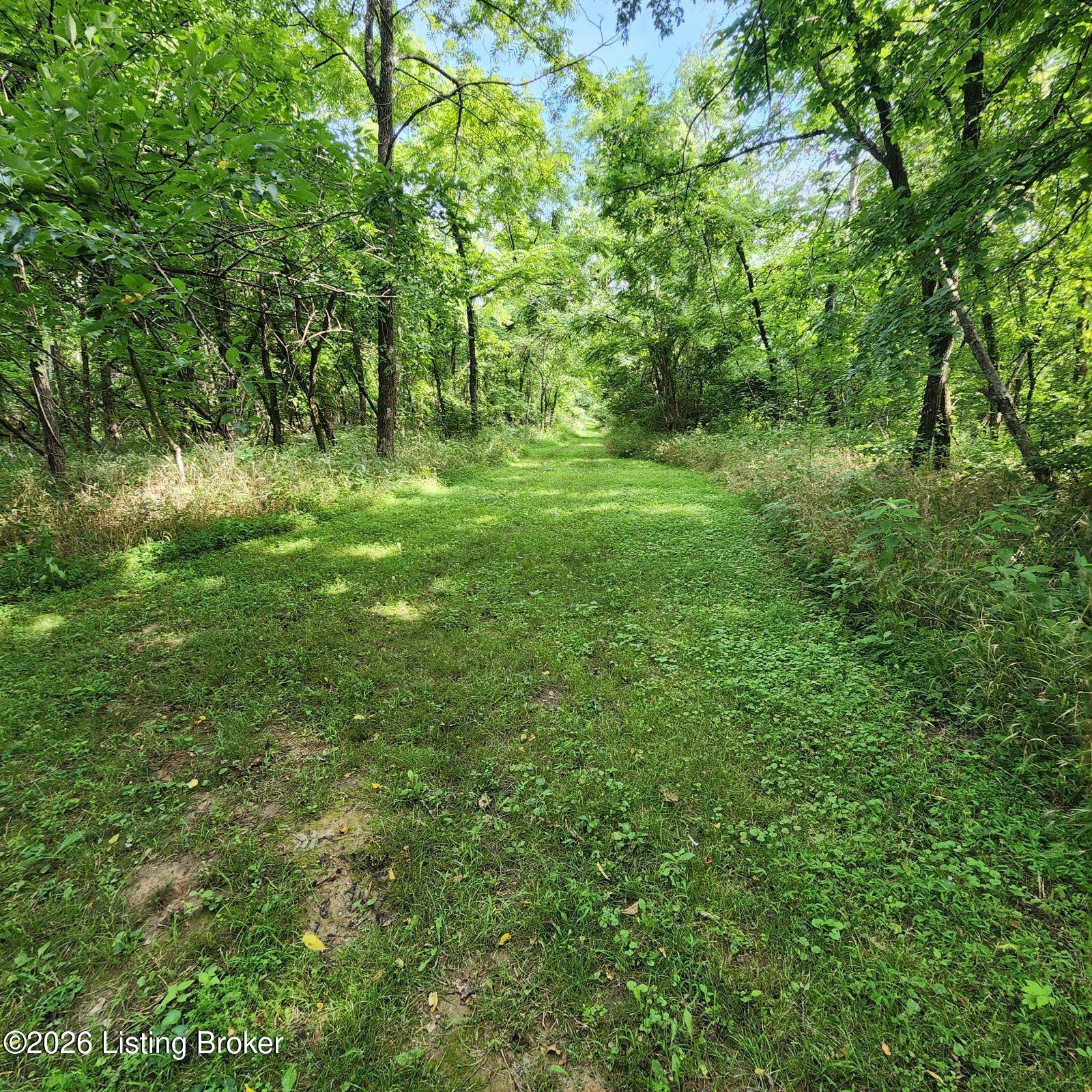 318 Elk Creek Rd Property Photo 12