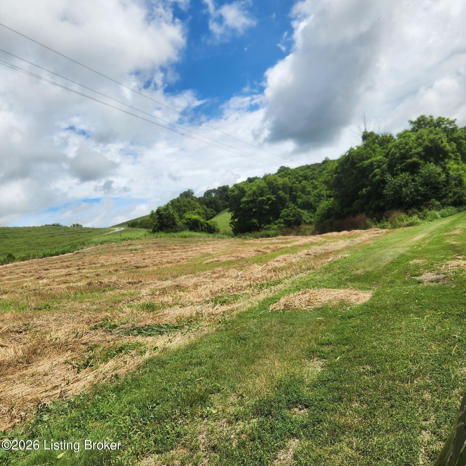 318 Elk Creek Rd Property Photo 15