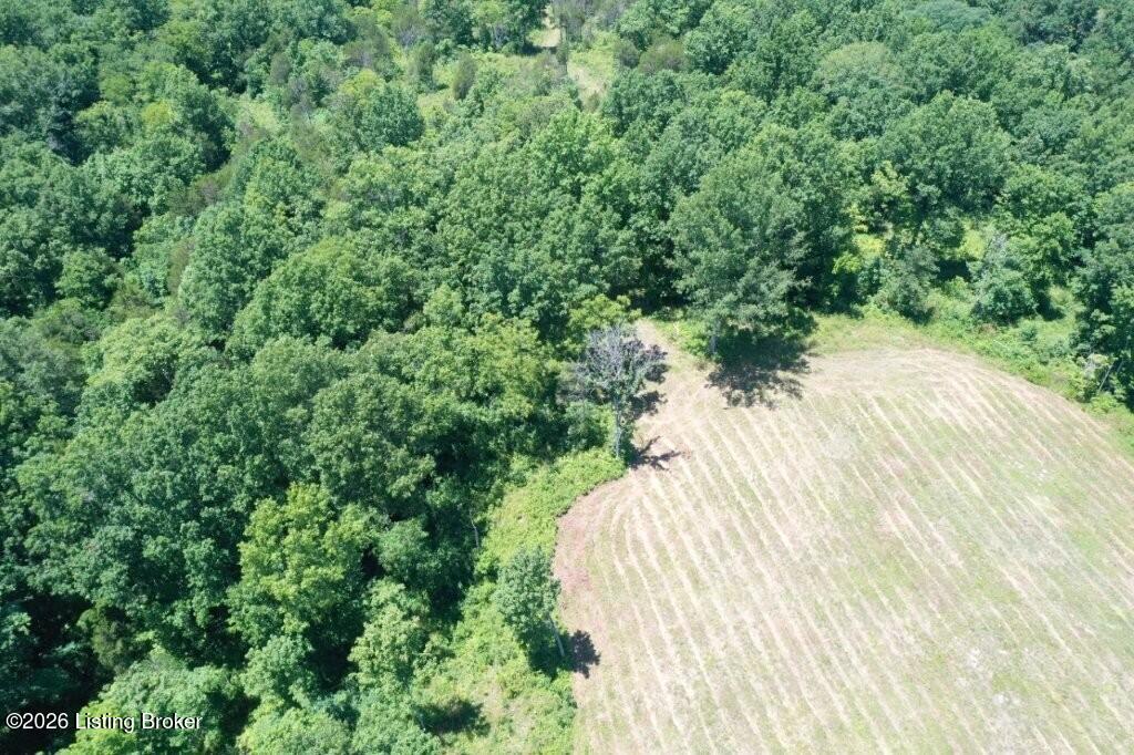 305 Newby Ln Tract 6 Property Photo 18