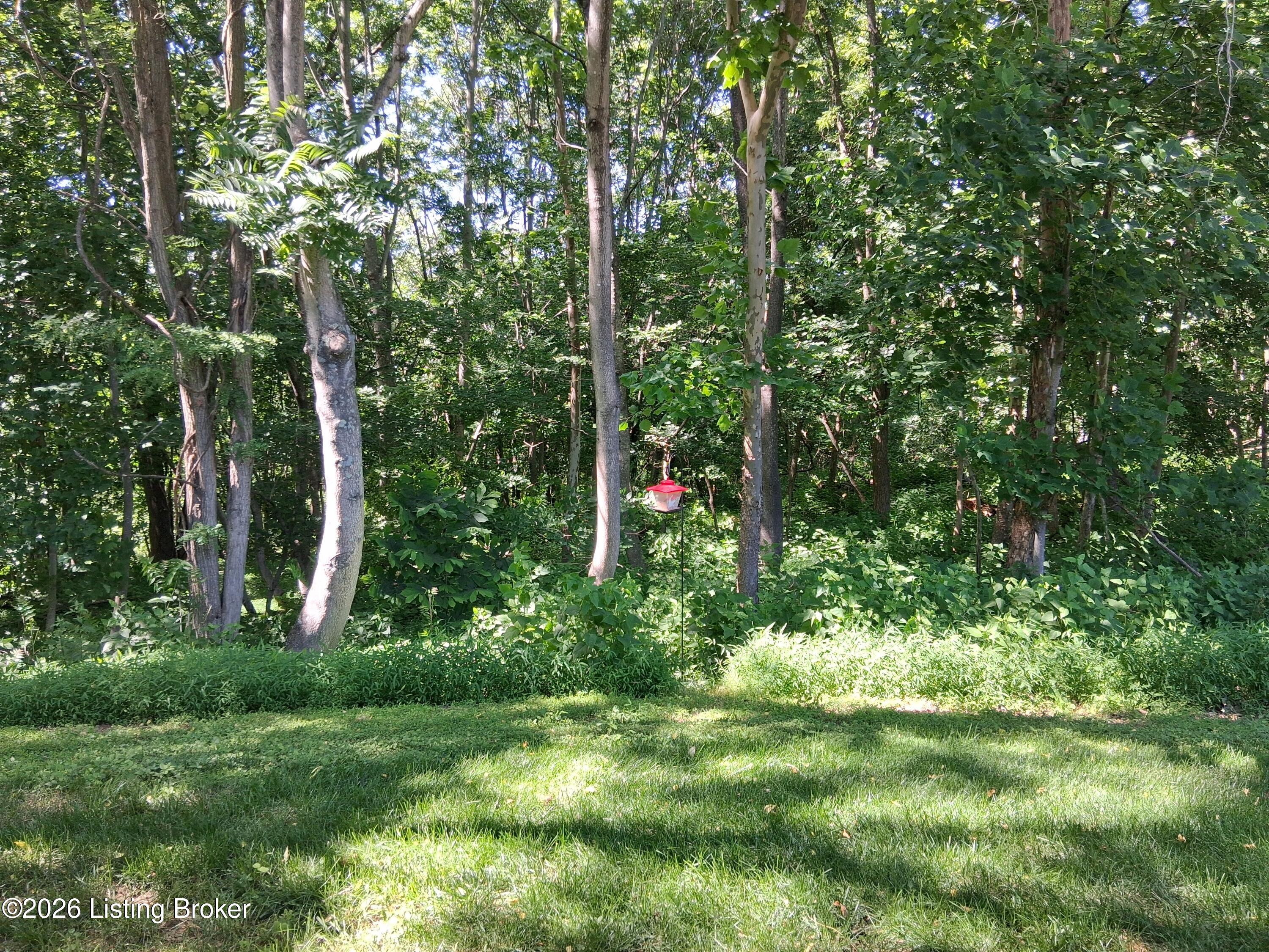 3440 Doe Valley Pkwy Property Photo 32