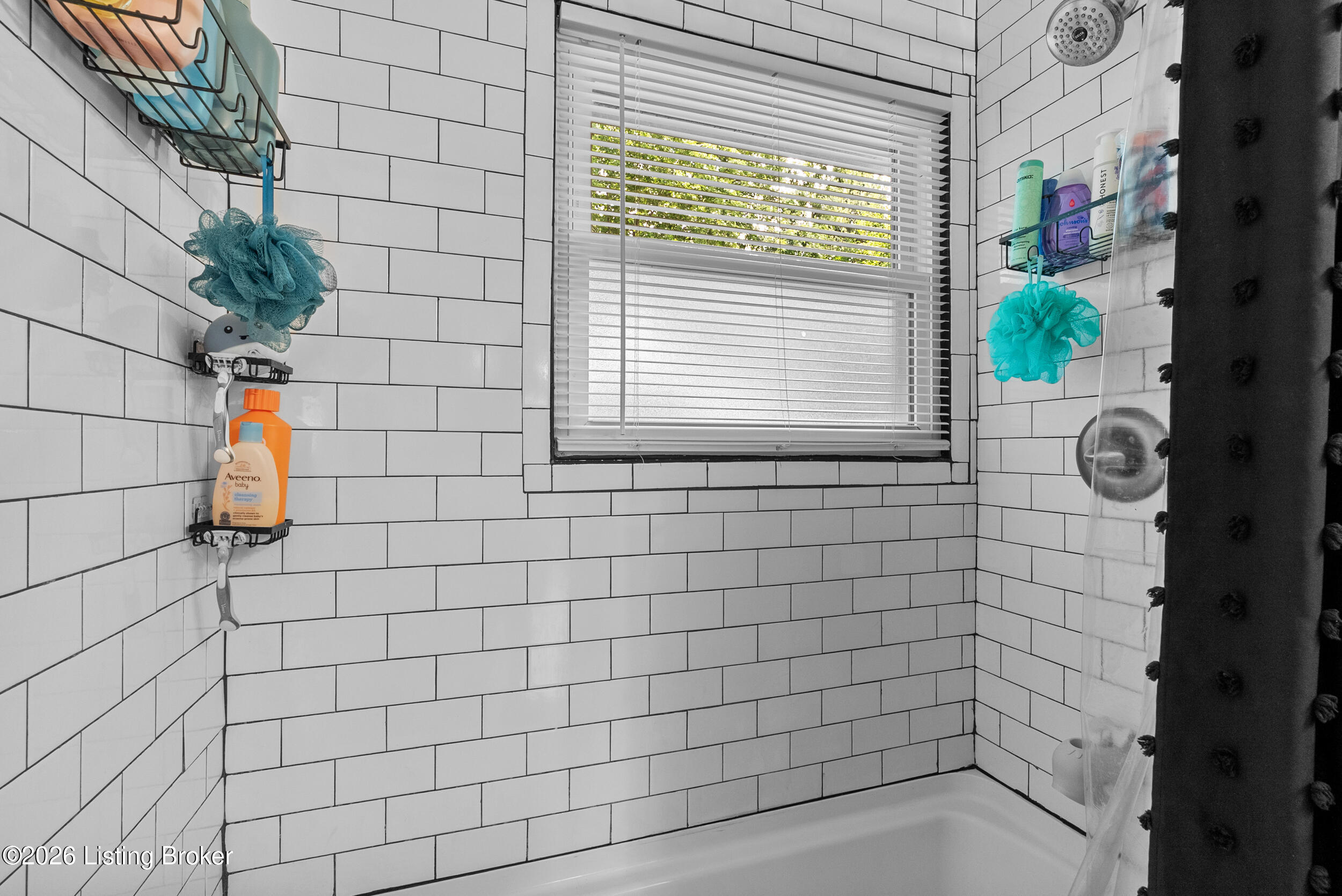 9923 Appollo Ln Property Photo 17