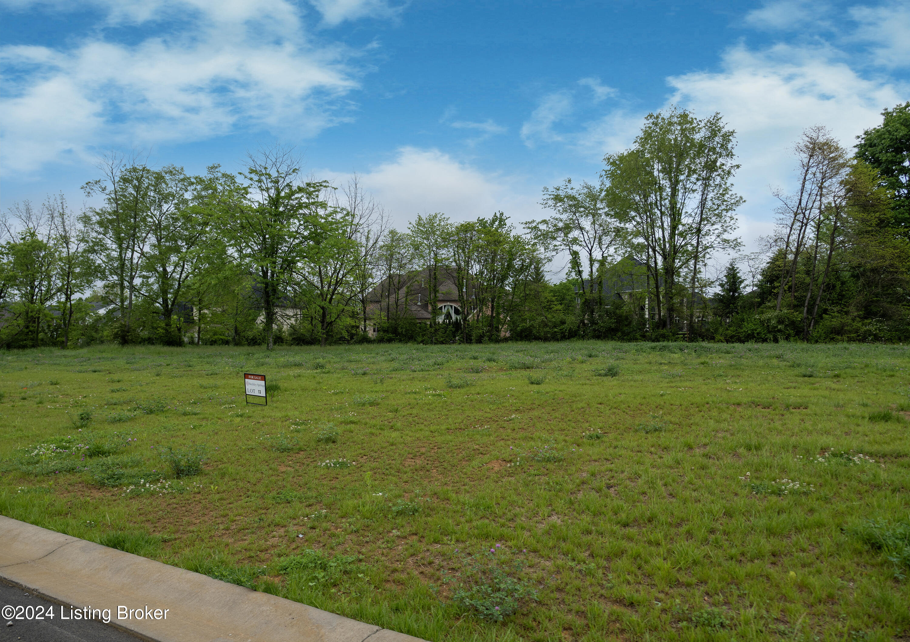 15107 Beckley Spgs Dr Property Photo 5