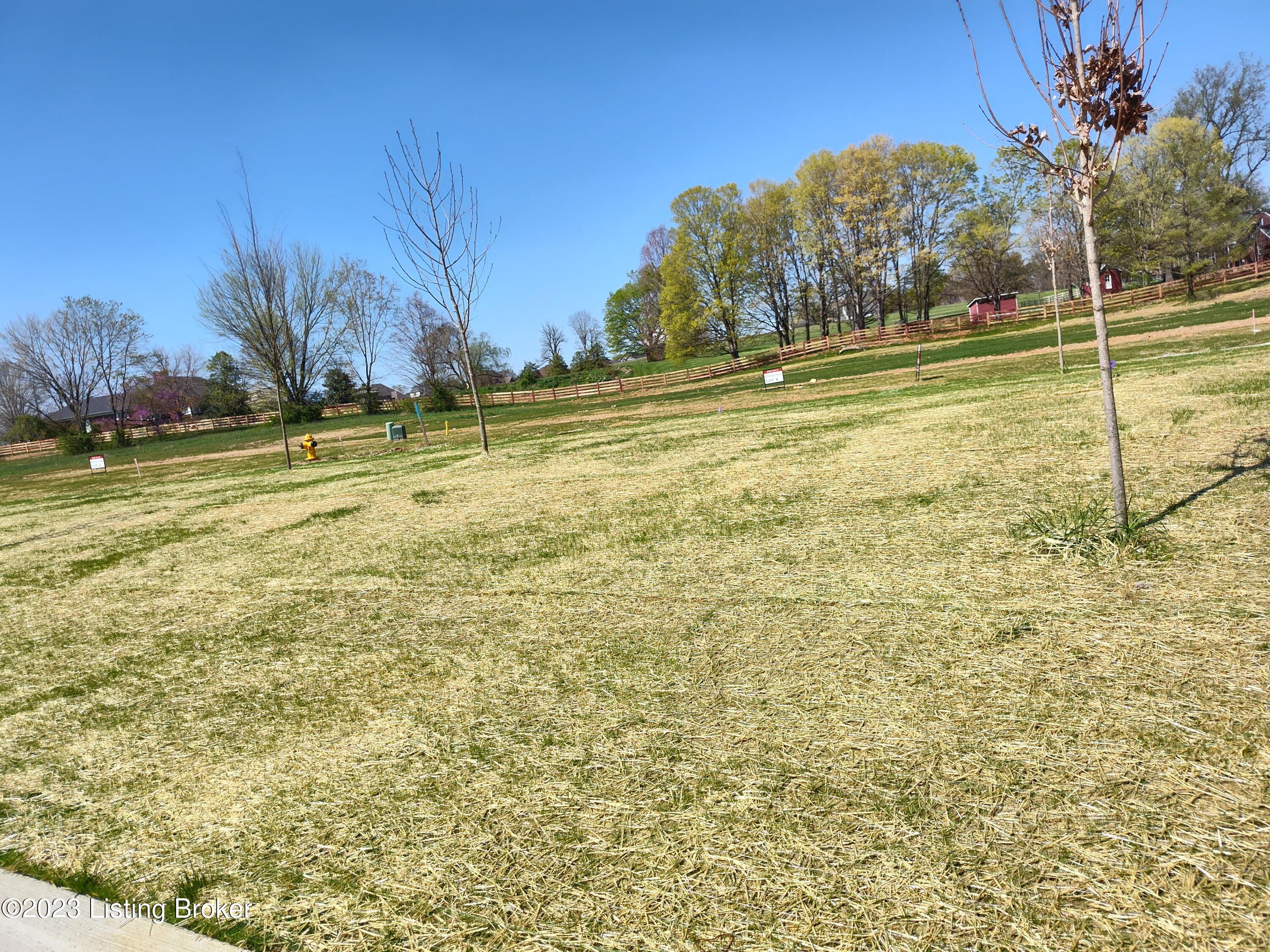 15107 Beckley Spgs Dr Property Photo 6
