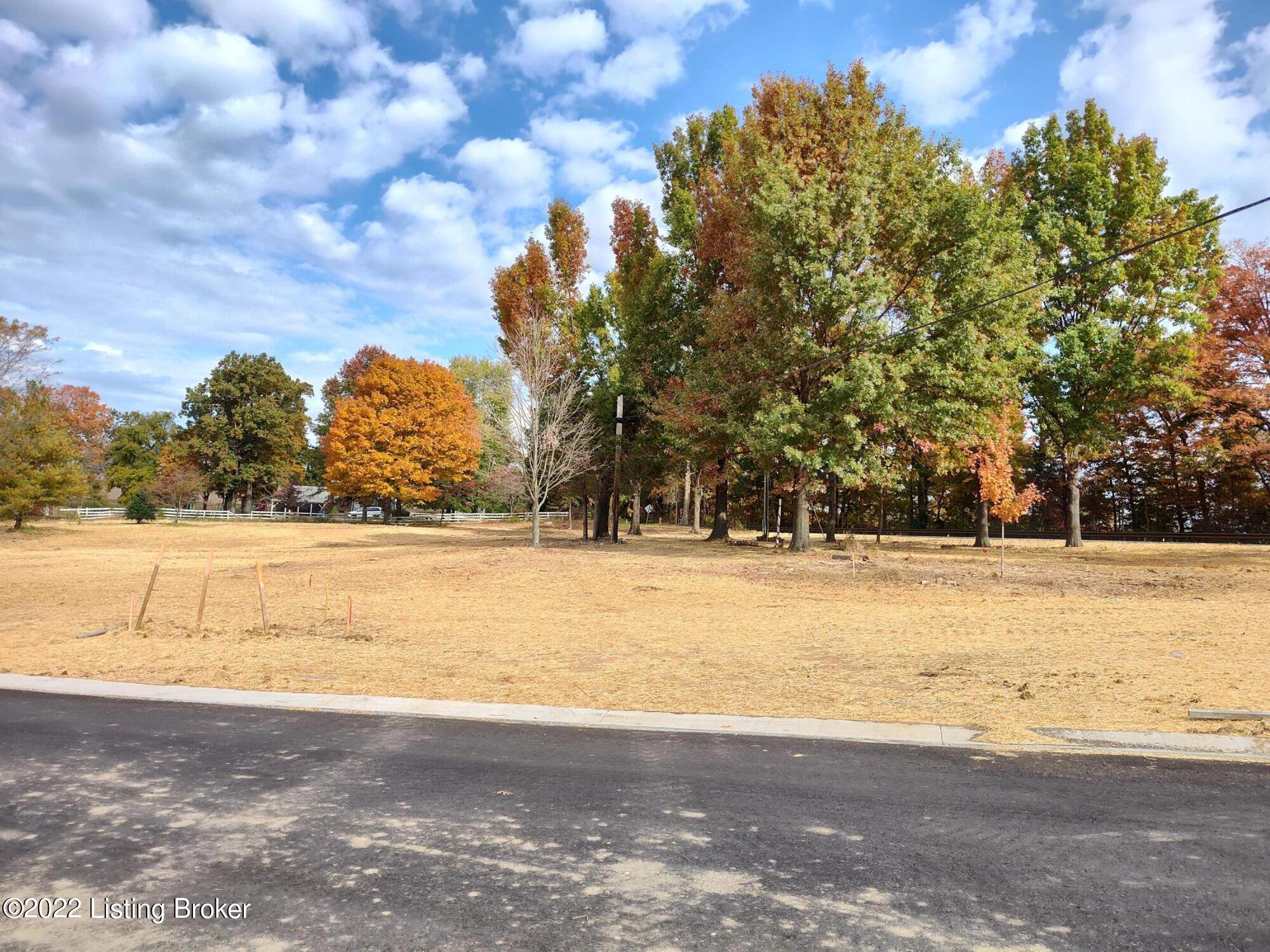 15107 Beckley Spgs Dr Property Photo 8