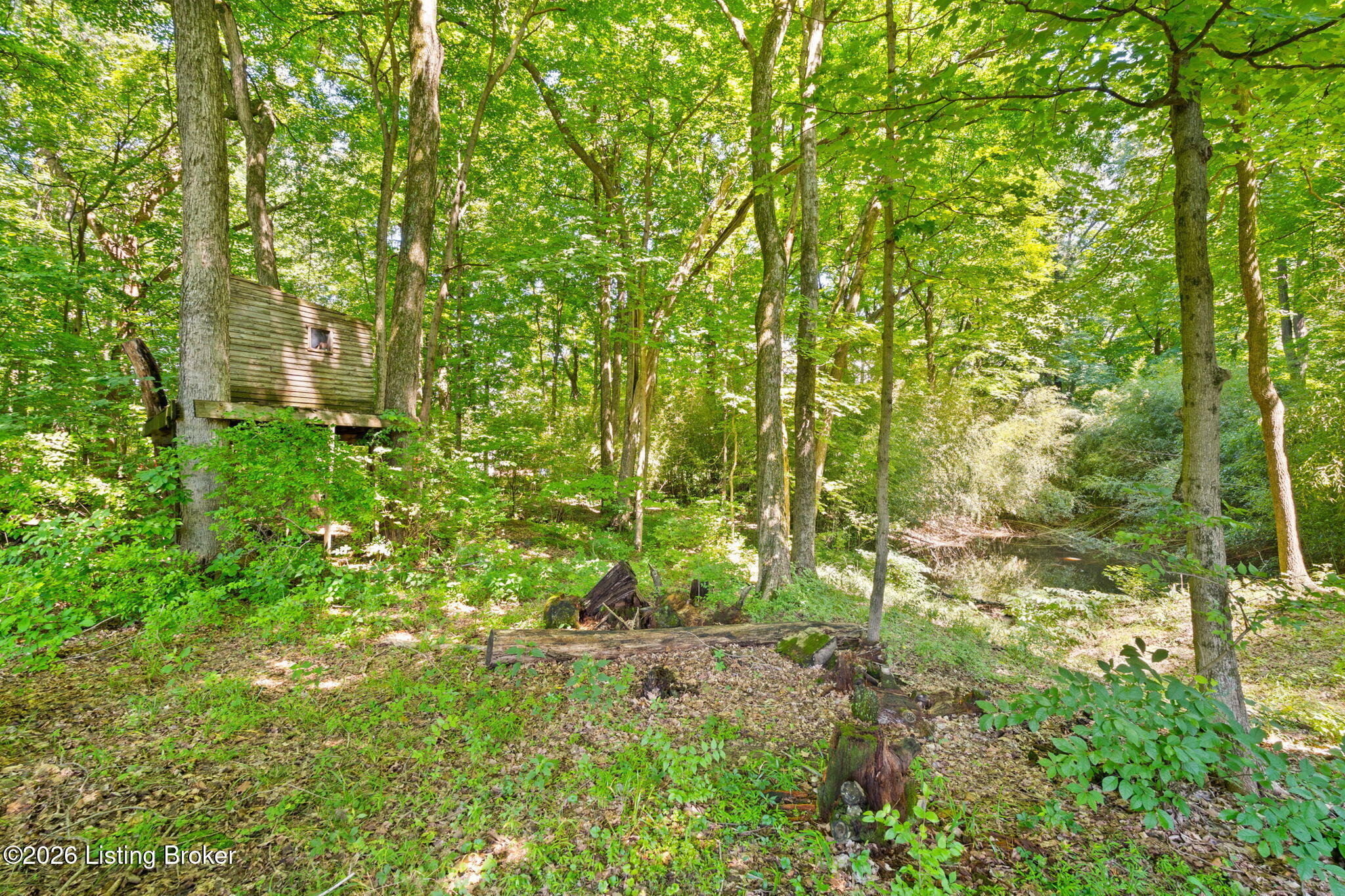 3985 Brooks Hill Rd Property Photo 57