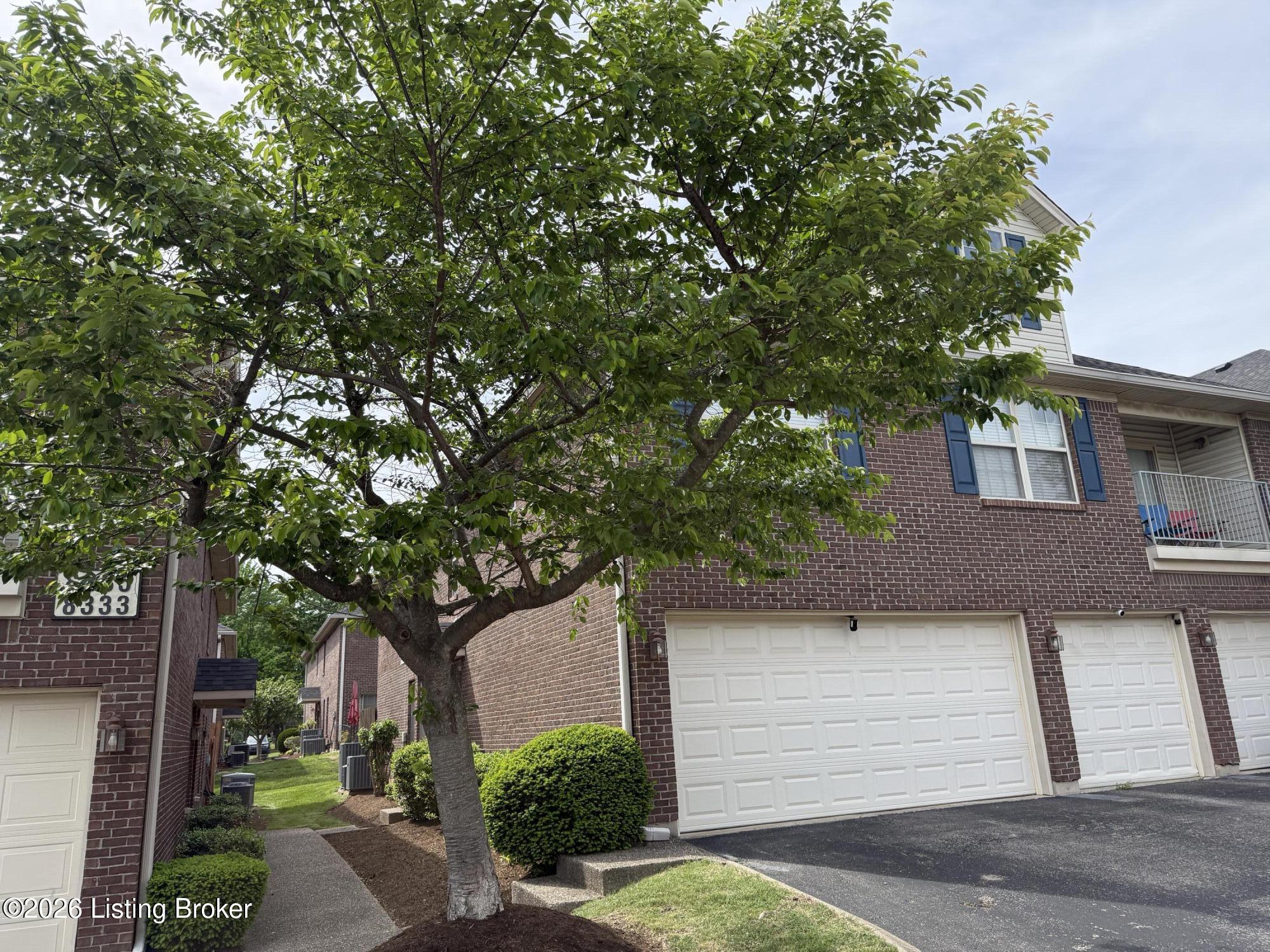 8337 Grand Trevi Dr Property Photo 3