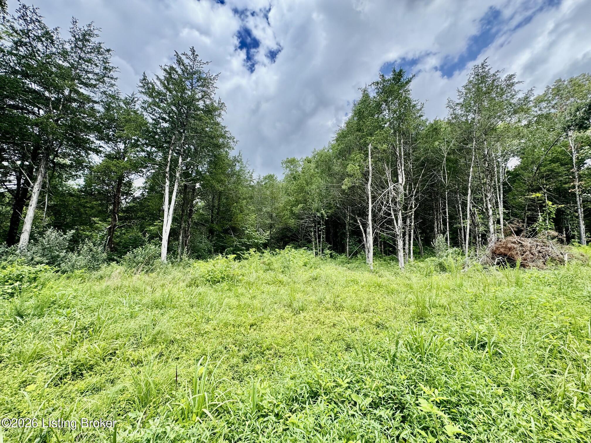 9501-5b Hwy 555 Property Photo 1