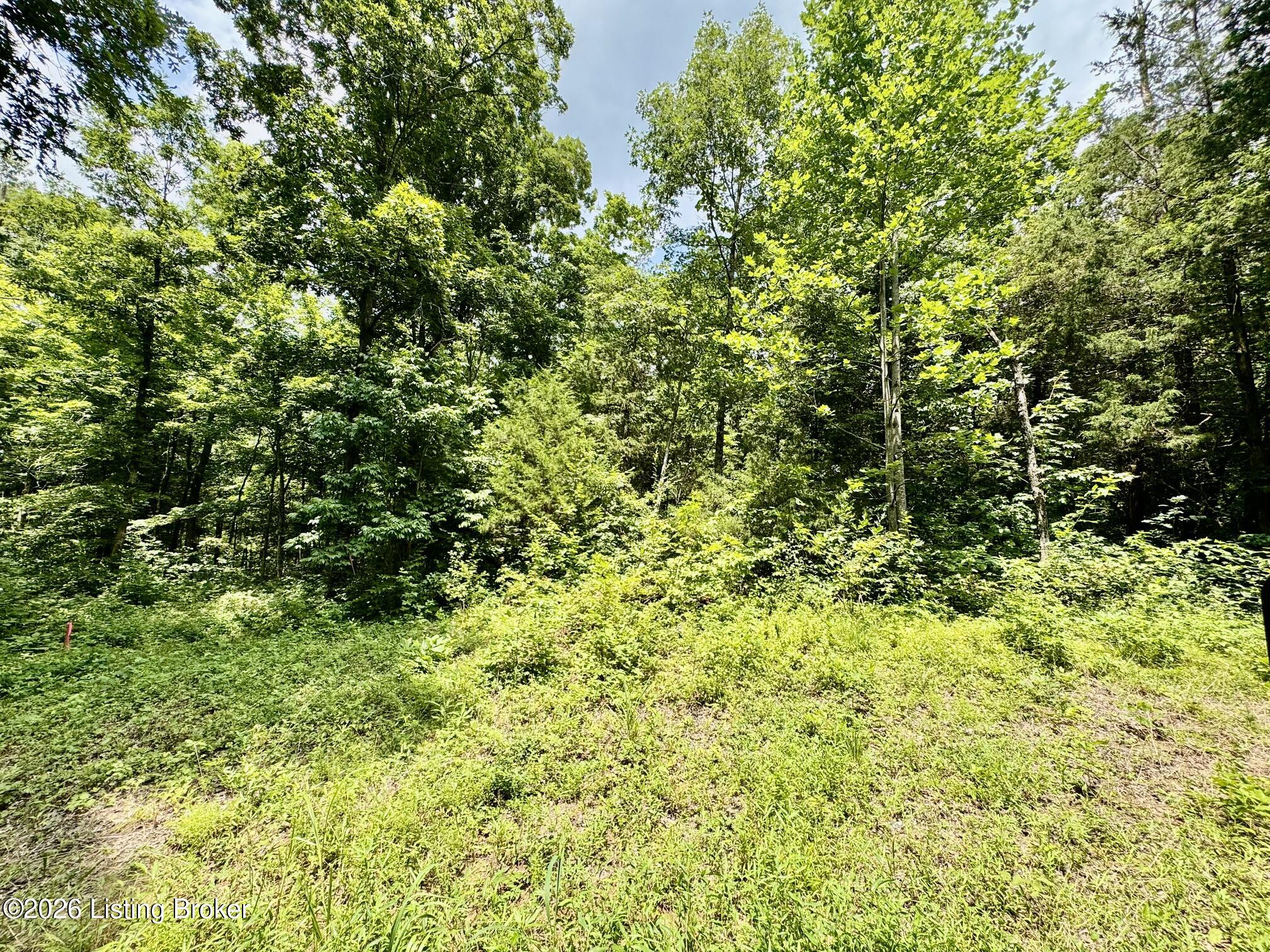 9501-5c Hwy 555 Property Photo 1